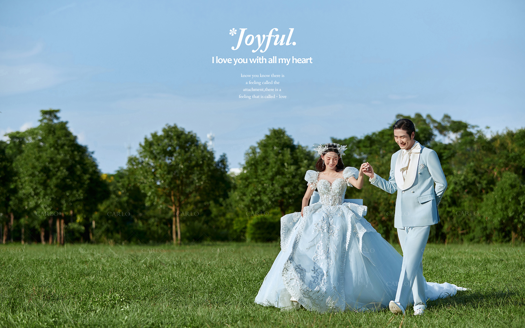 卡洛婚纱摄影【森系】