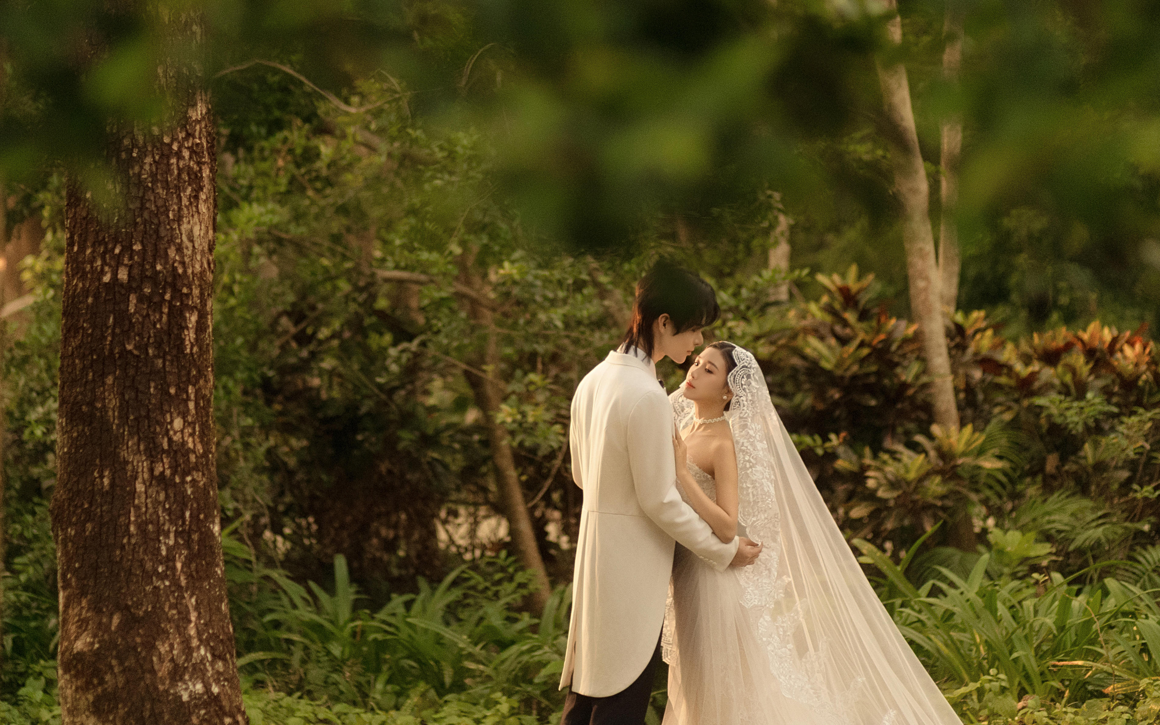 暮光秘境 法式森系光影