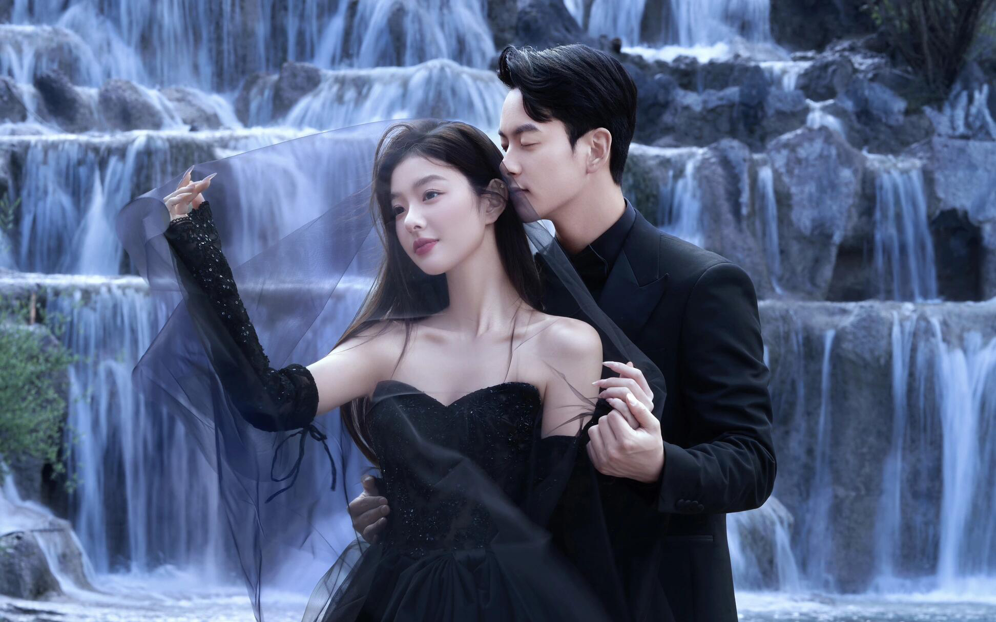 做一回高贵的黑天鹅