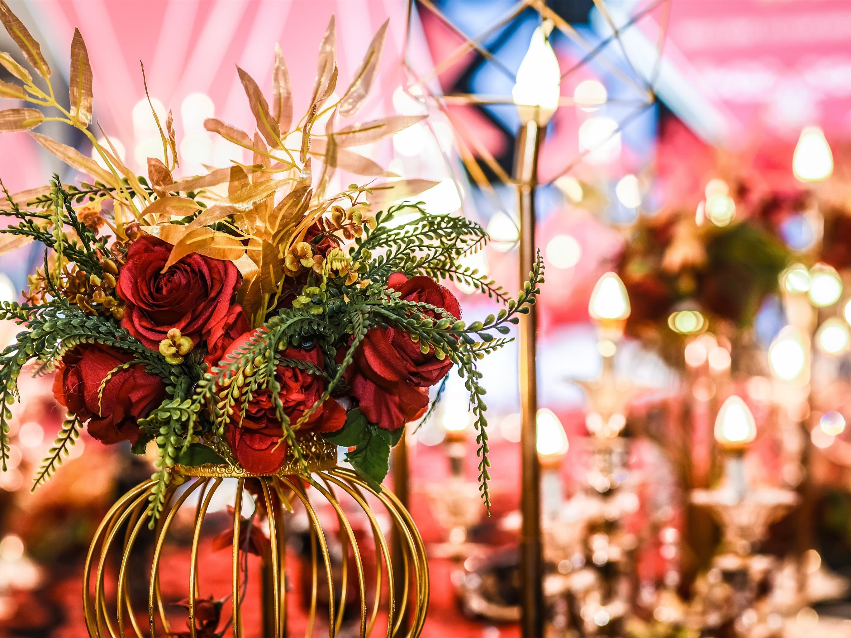 [她他婚典]  丨 机械红