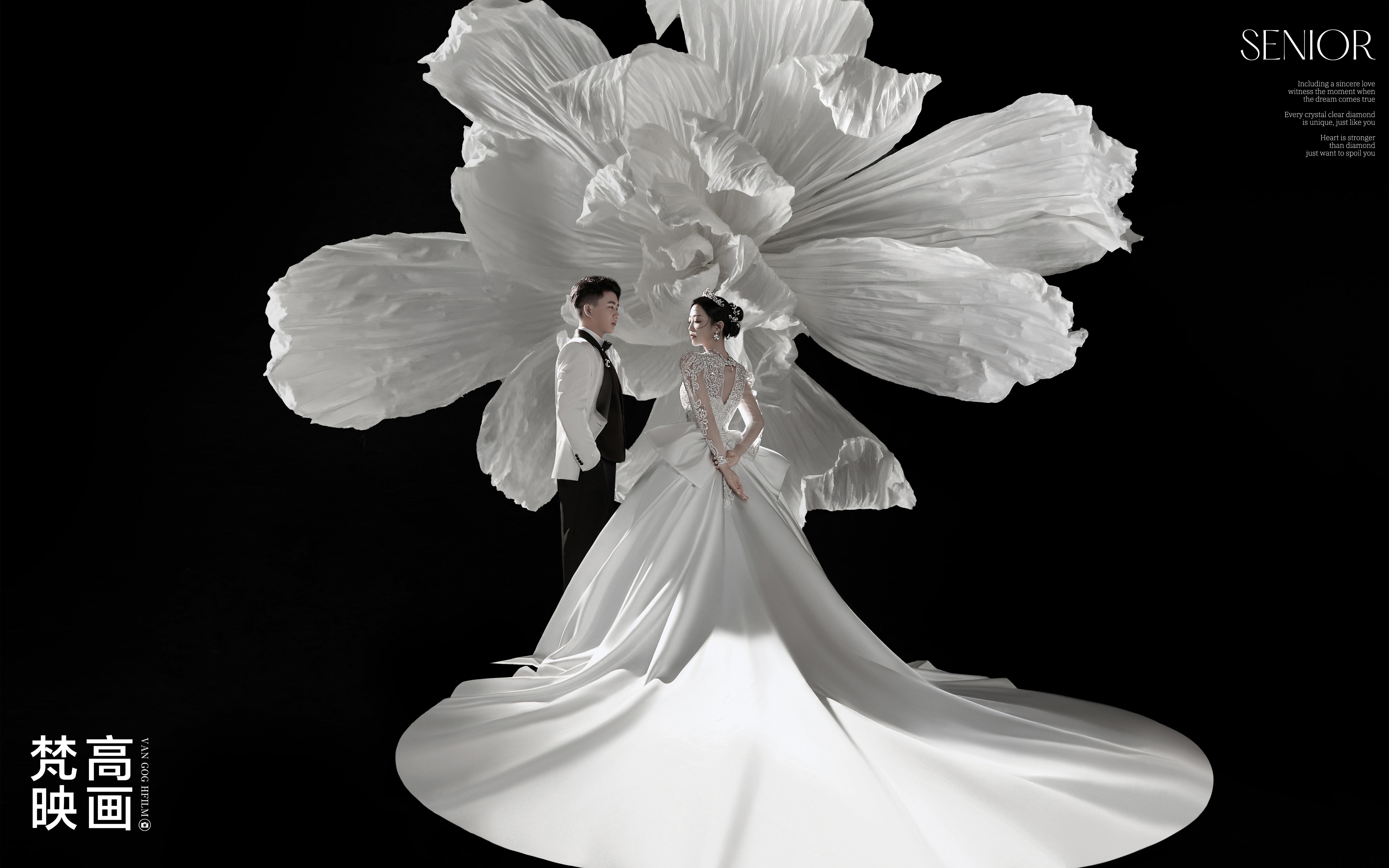 纯白主纱🌙光影美学定格浪漫