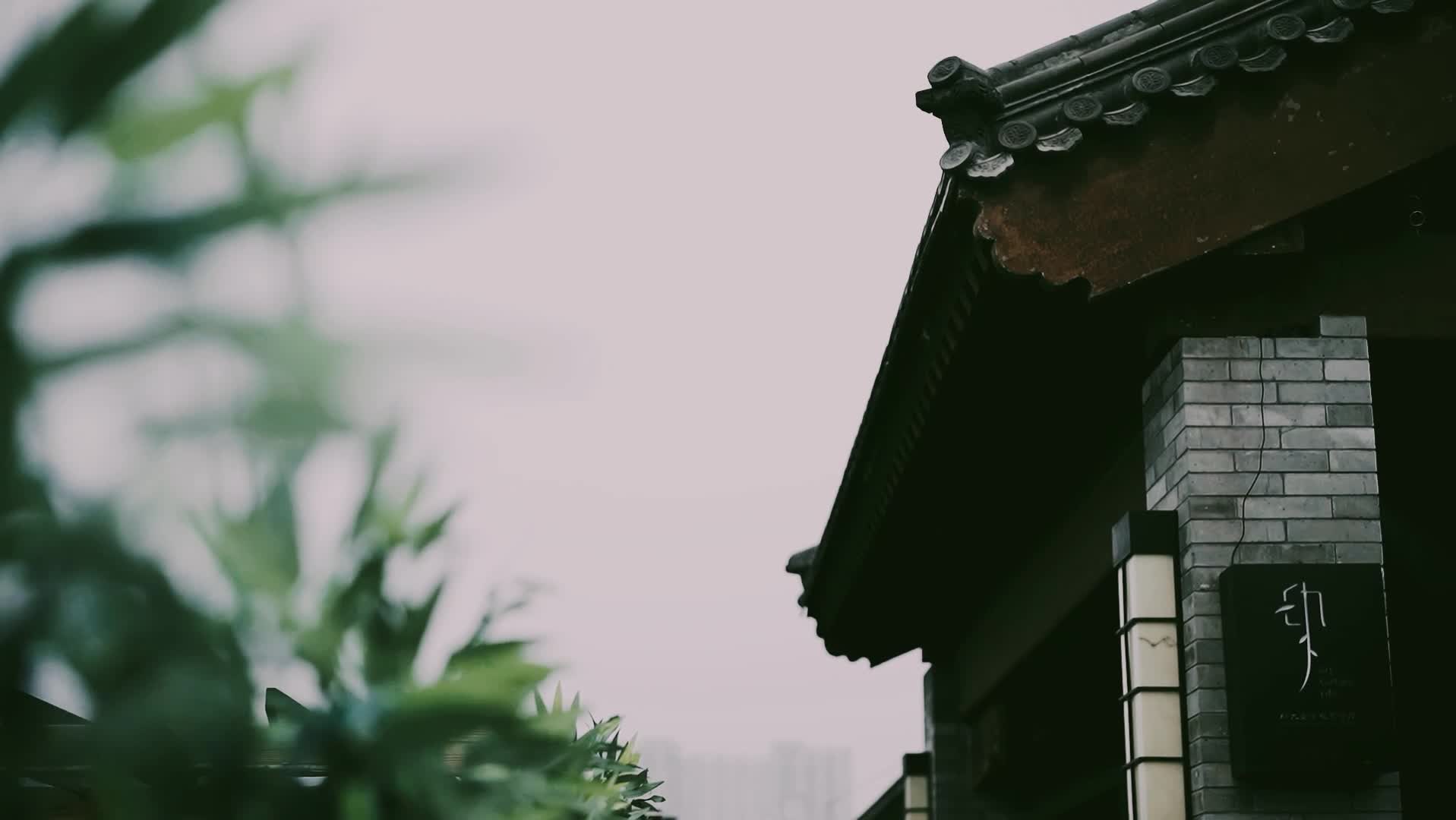 總監(jiān)三機(jī)位婚禮跟拍