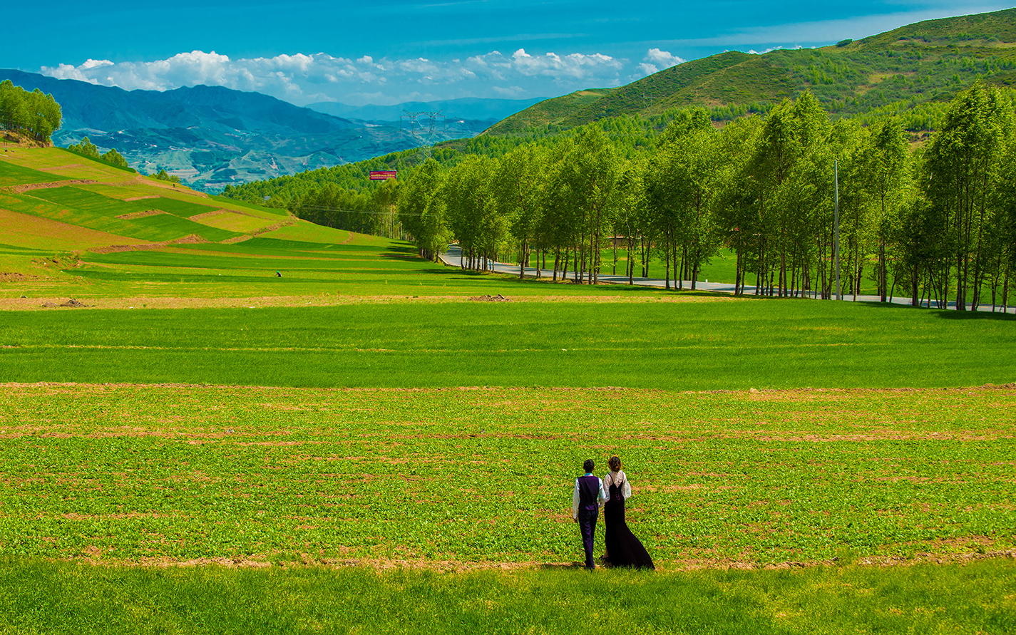 【精致纯拍】纳木措路线一日拍摄+青藏铁路+草原
