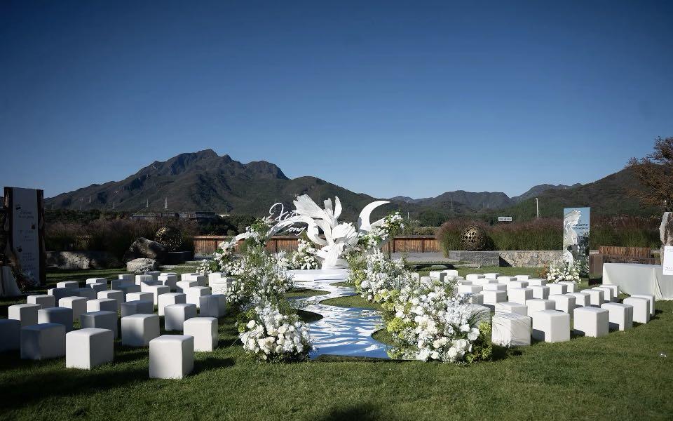 喜橙|纯色简约风婚礼