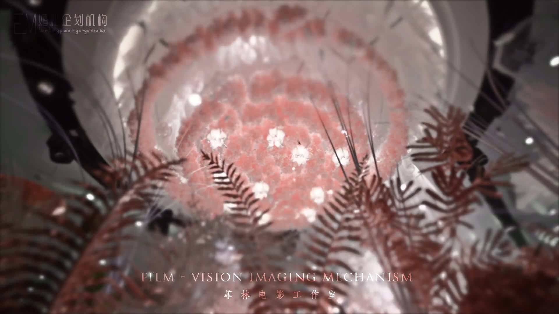 限时钜惠【爆款】香槟色西式大气