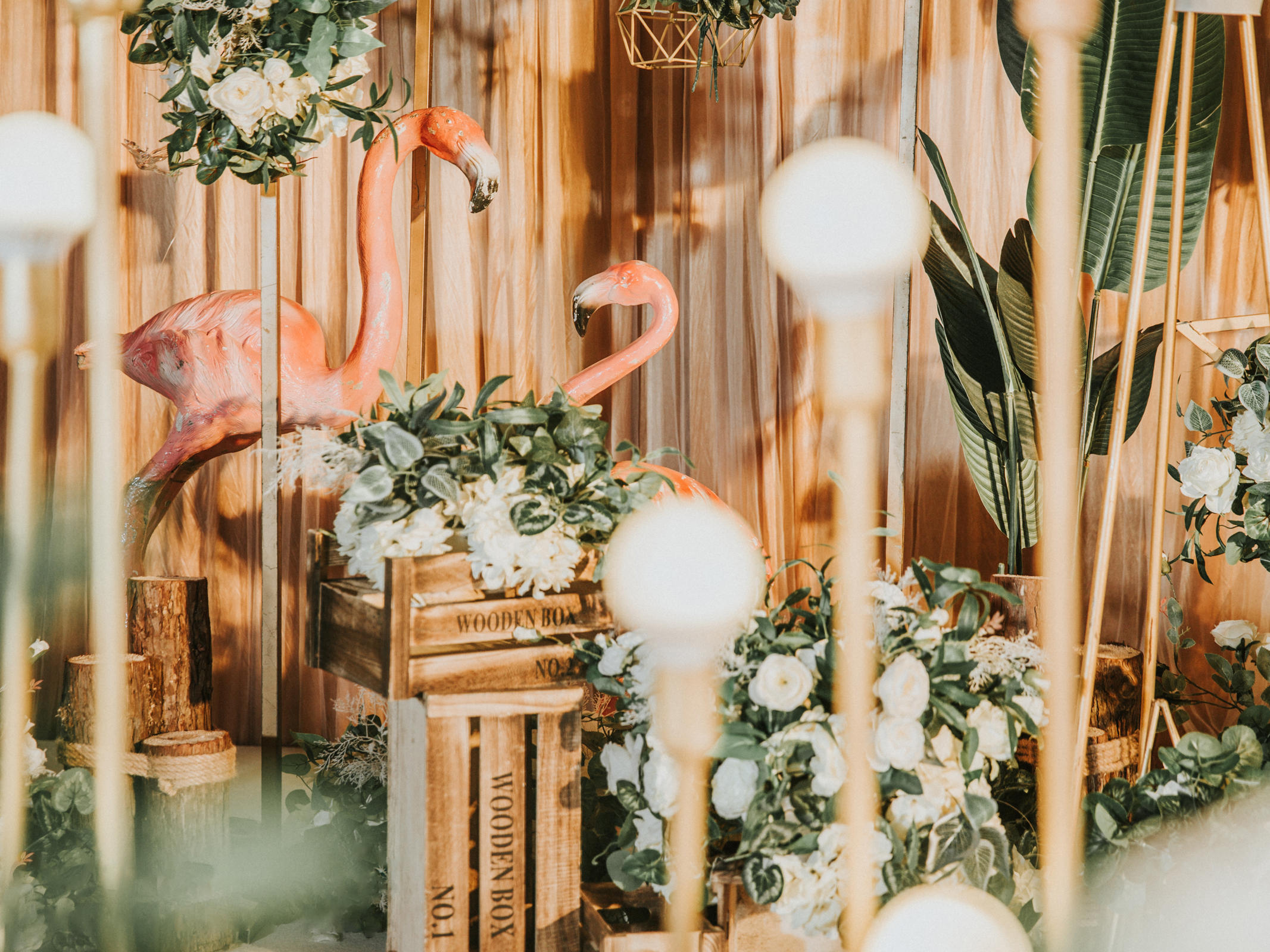 【浪漫】就这样爱你！爱你！爱你！