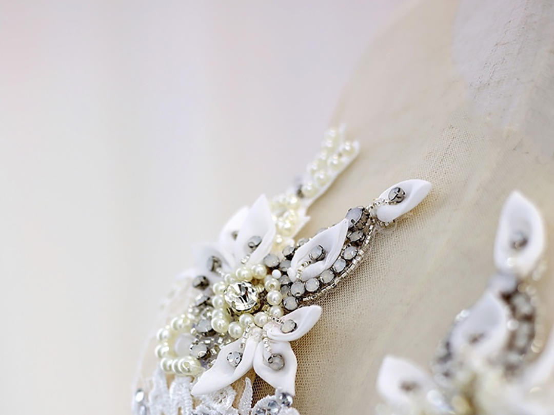 长沙天鹅婚纱礼服 深V透明纱长袖 性感大露背婚纱