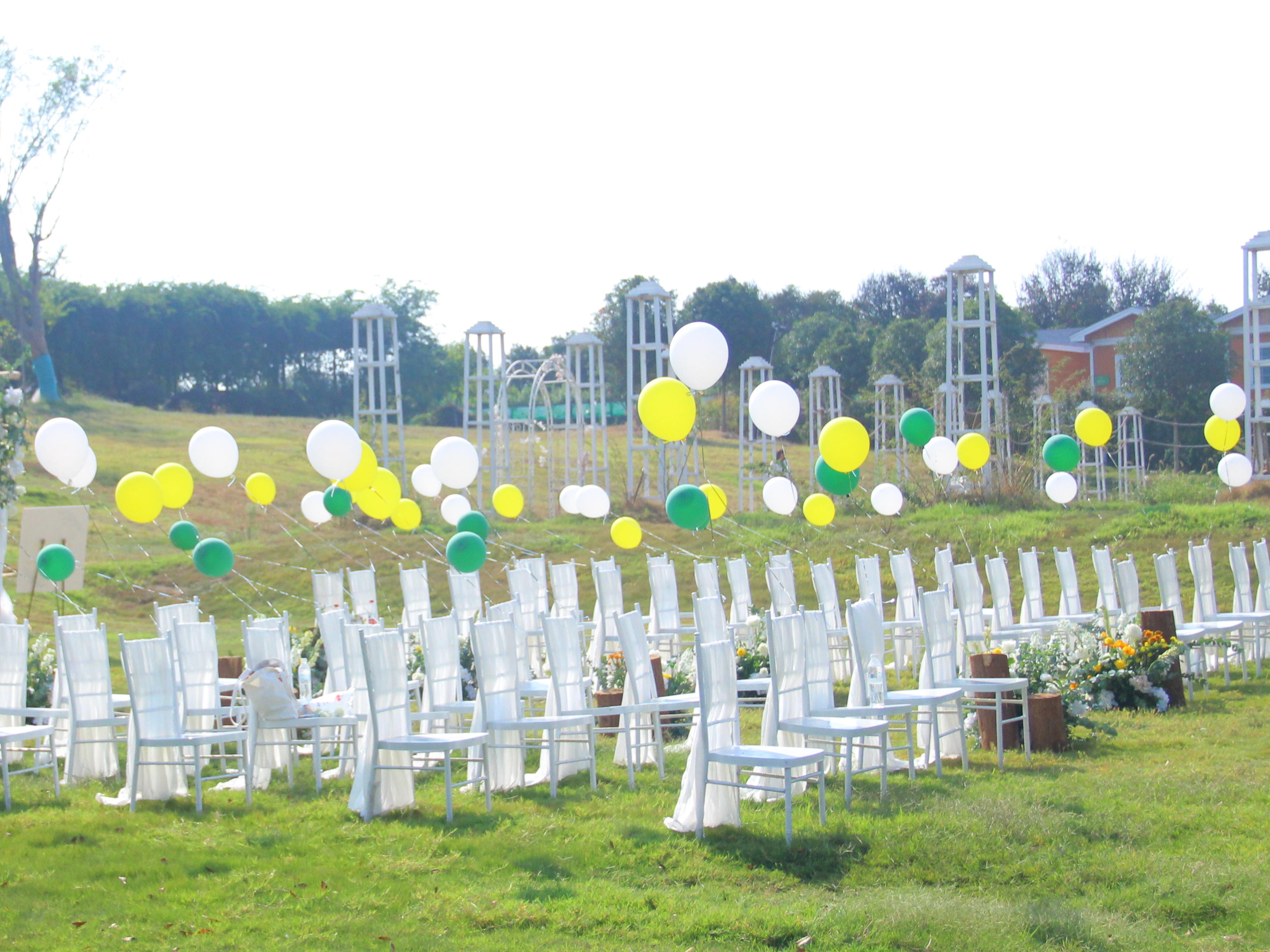 草坪婚礼、互动强、【限量特售】