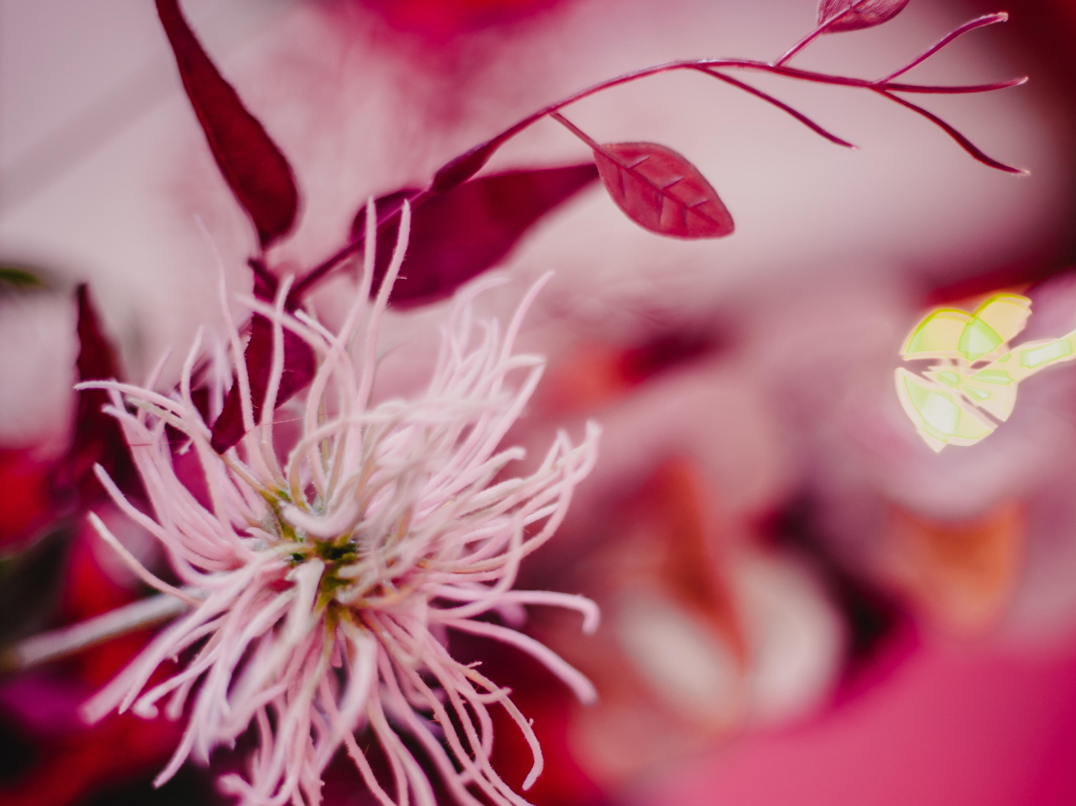 【禧悦婚礼】樱桃红西式婚礼