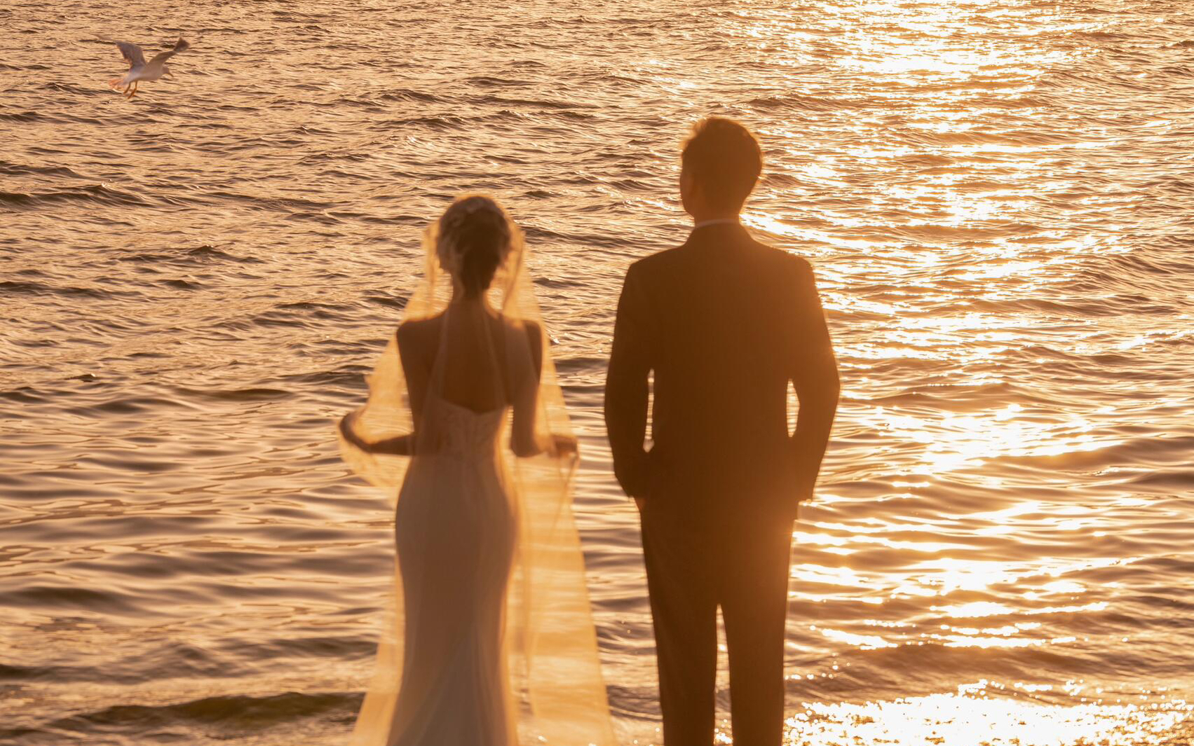 客片Z&W 章先生&王小姐