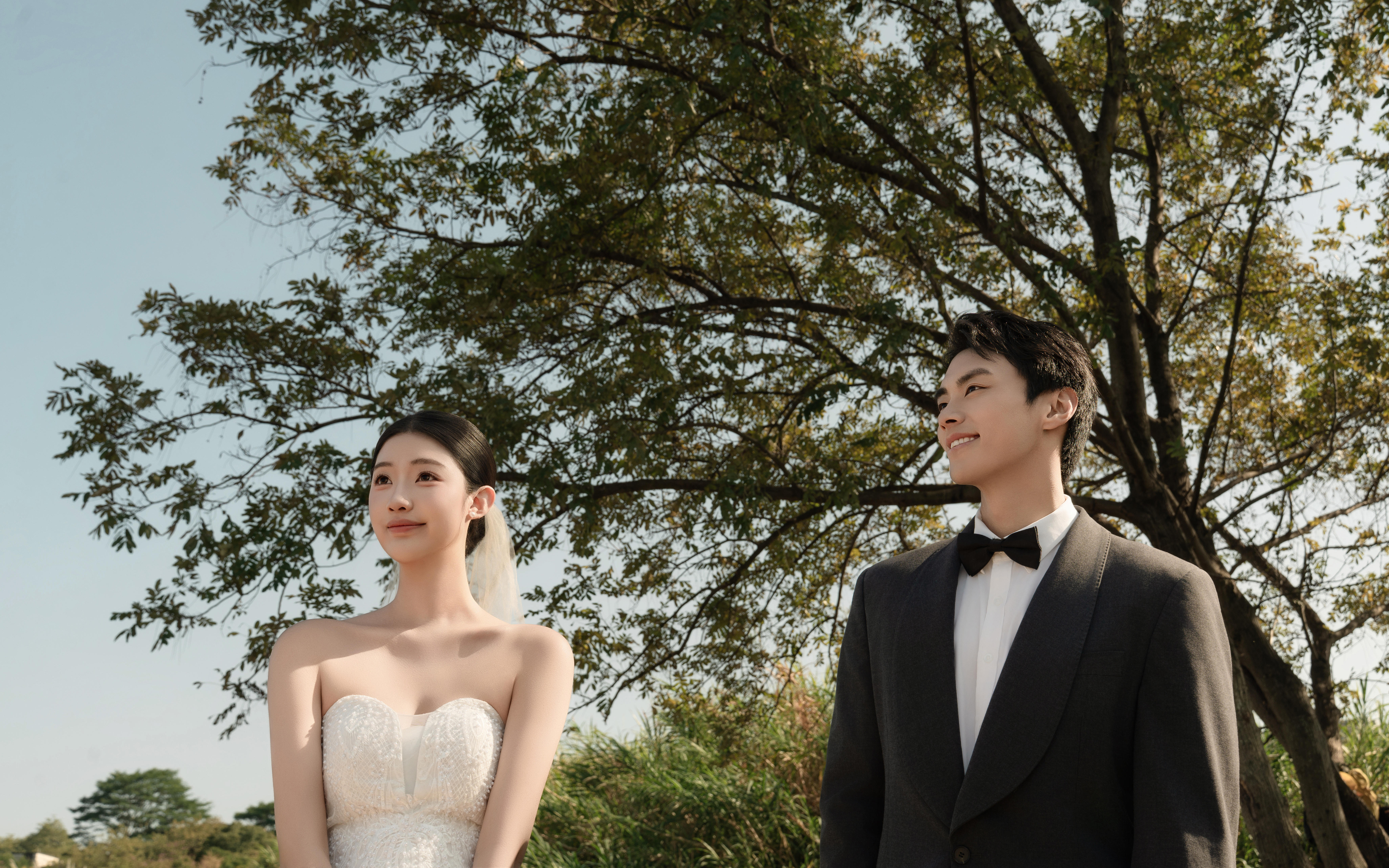 風(fēng)敘情詩 | 森系系列作品