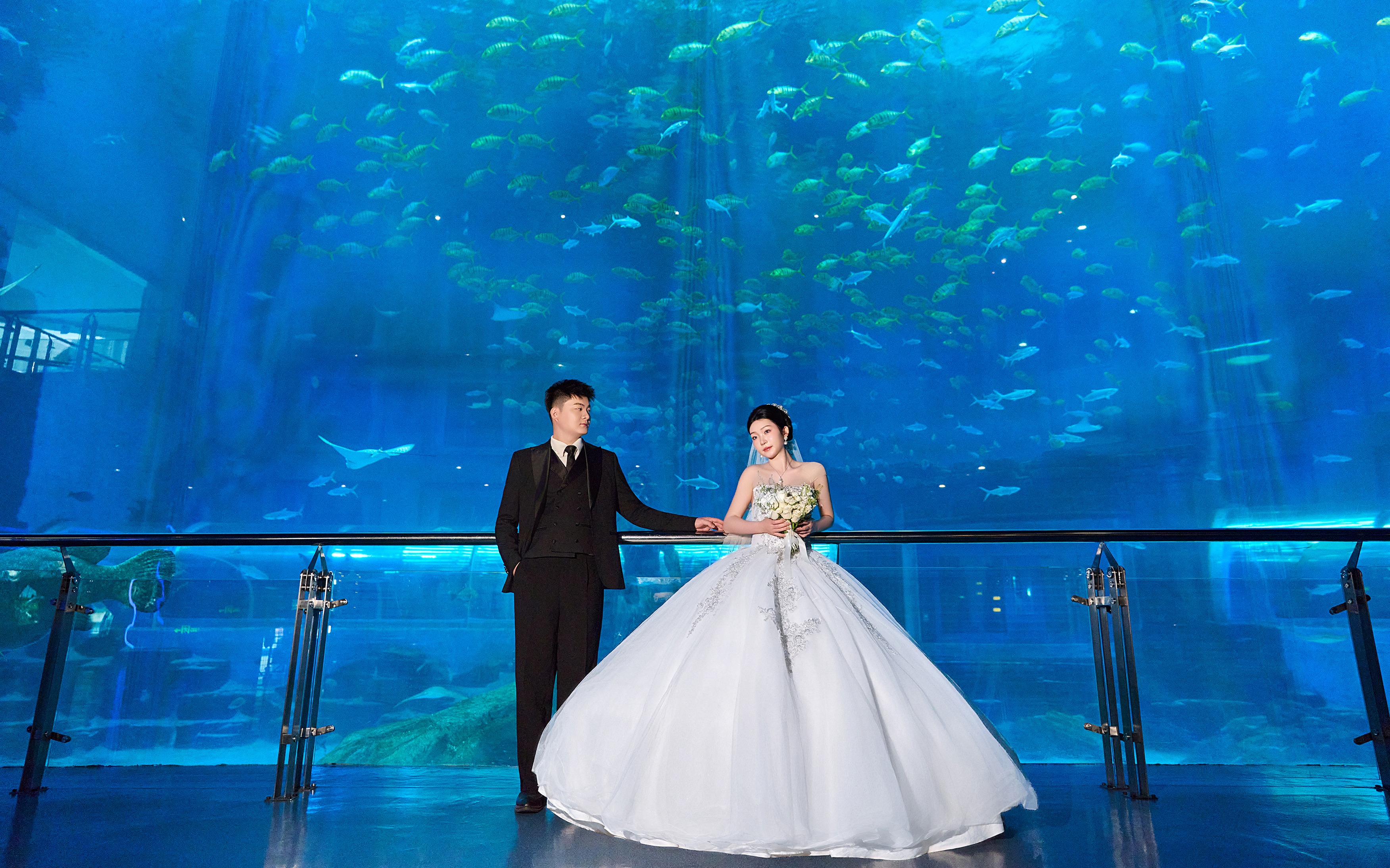 蓝色梦境｜海底餐厅婚纱照被鱼群亲吻过