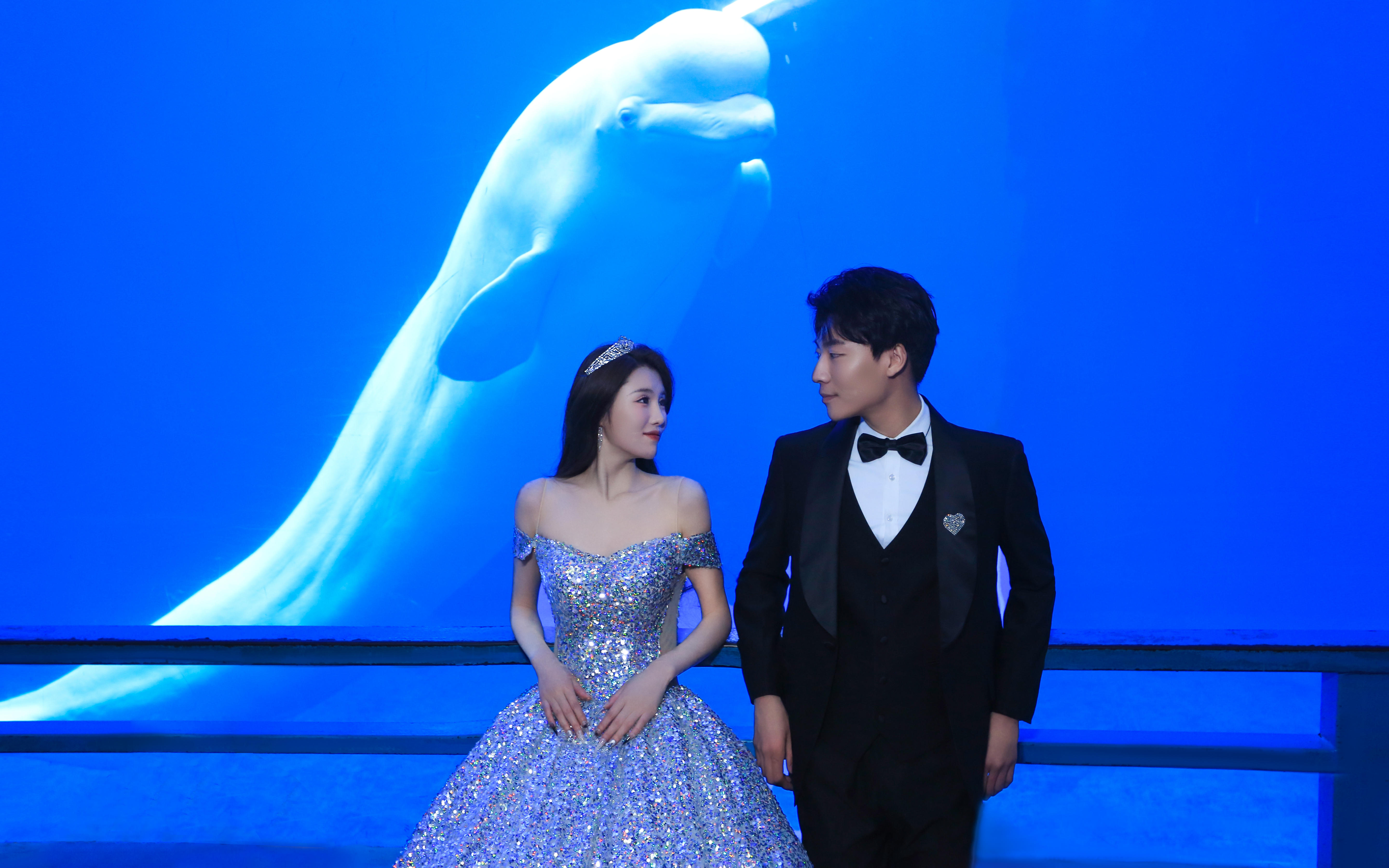 【邂逅白鲸】在大海里拍摄与众不同的婚纱照
