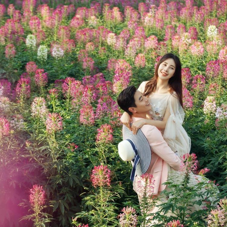 【好莱坞摄影工作室】唯美花海婚纱照   