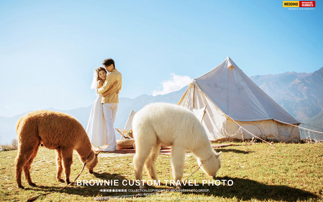 客片合集丨万般心动&万般想念