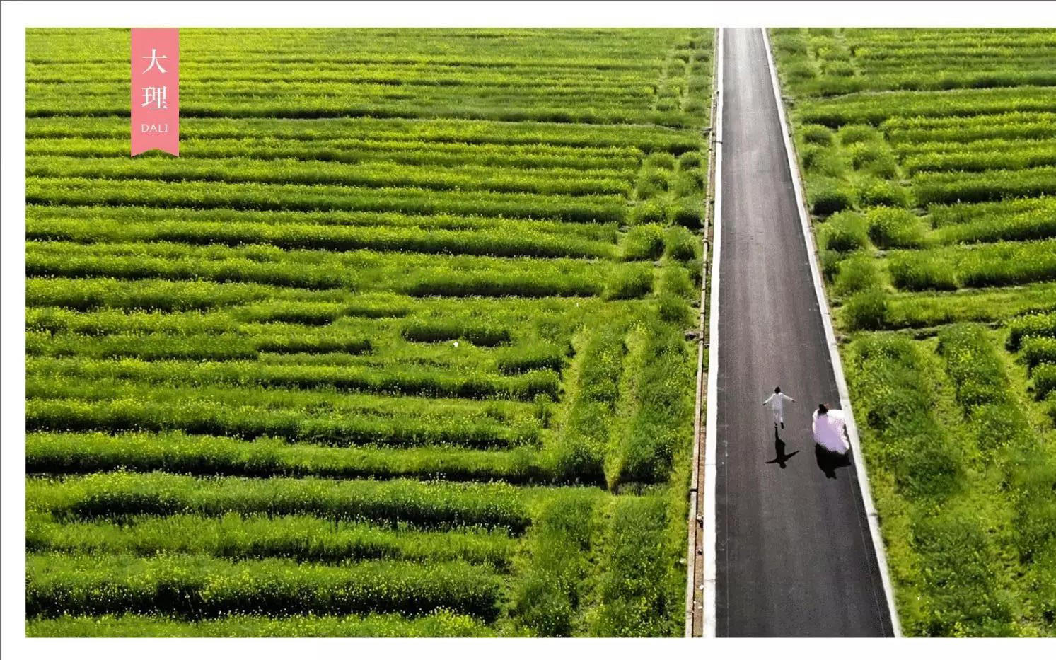 全球旅拍三亚站网络爆款套系