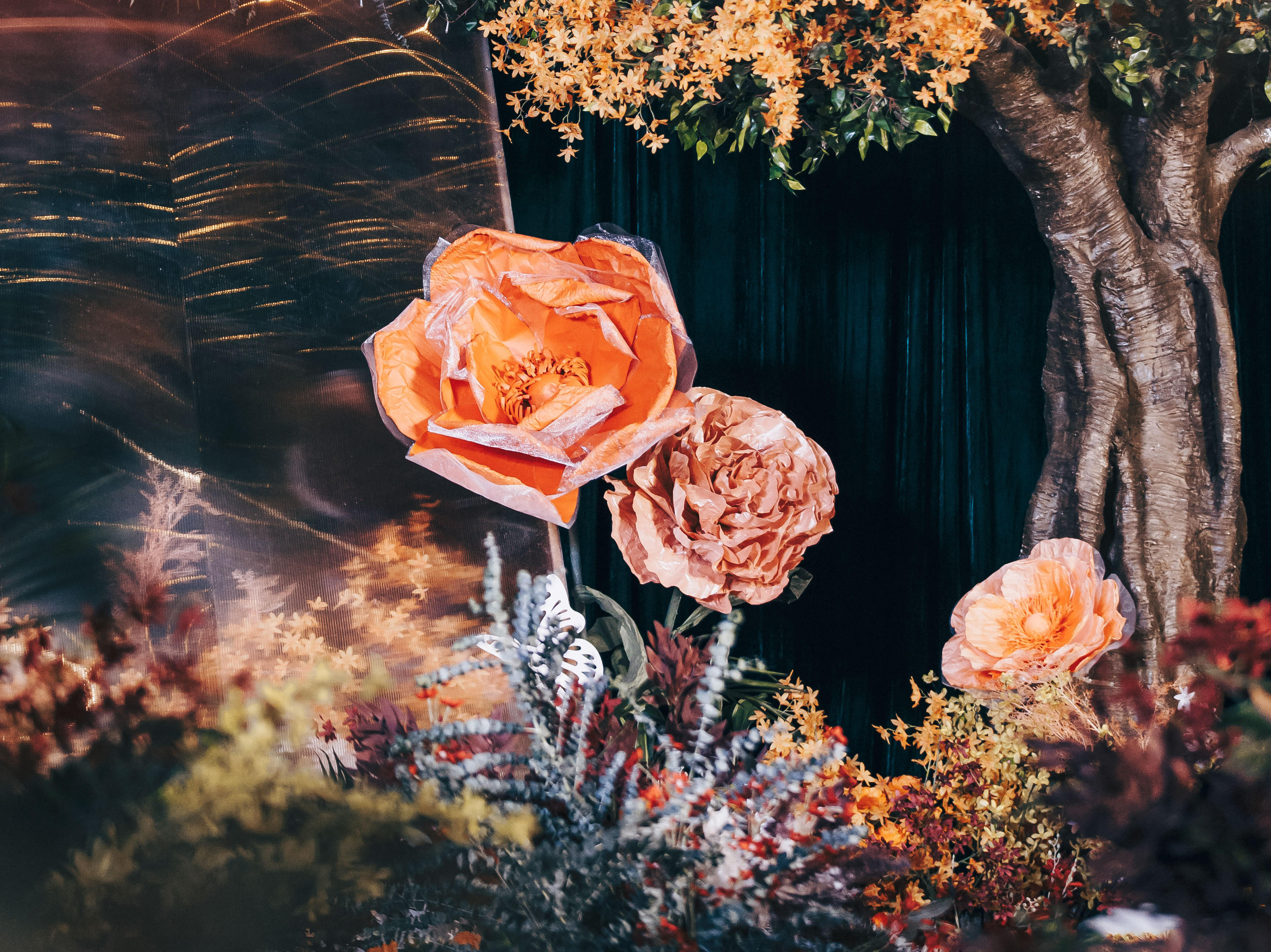 【薇亭久久】森系梦幻唯美风