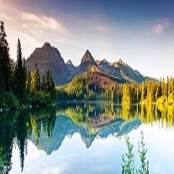 风羽详情测试001