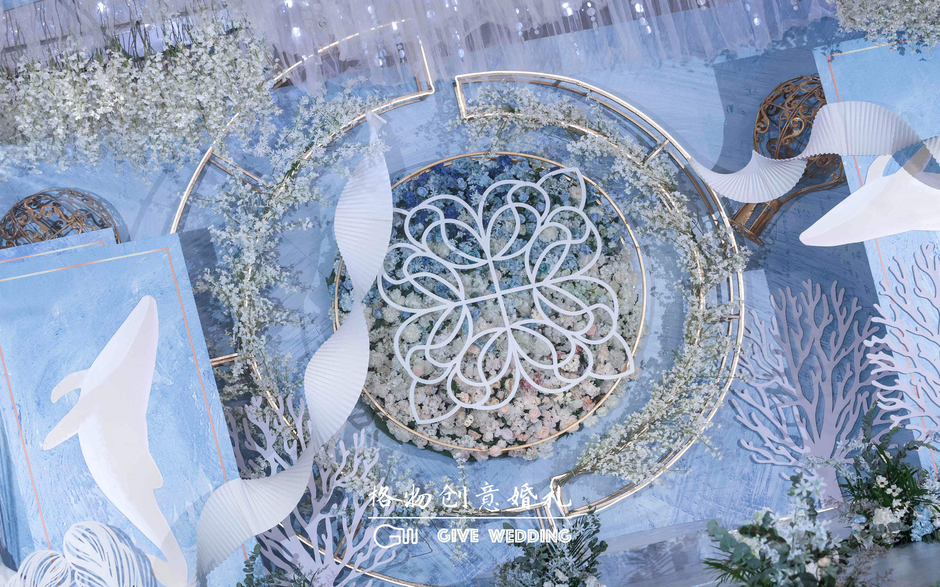 大鱼的自由陪伴左右·GIVE Wedding