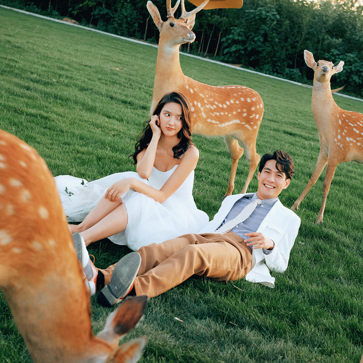 【韓國影像館】網(wǎng)紅鹿場婚紗照