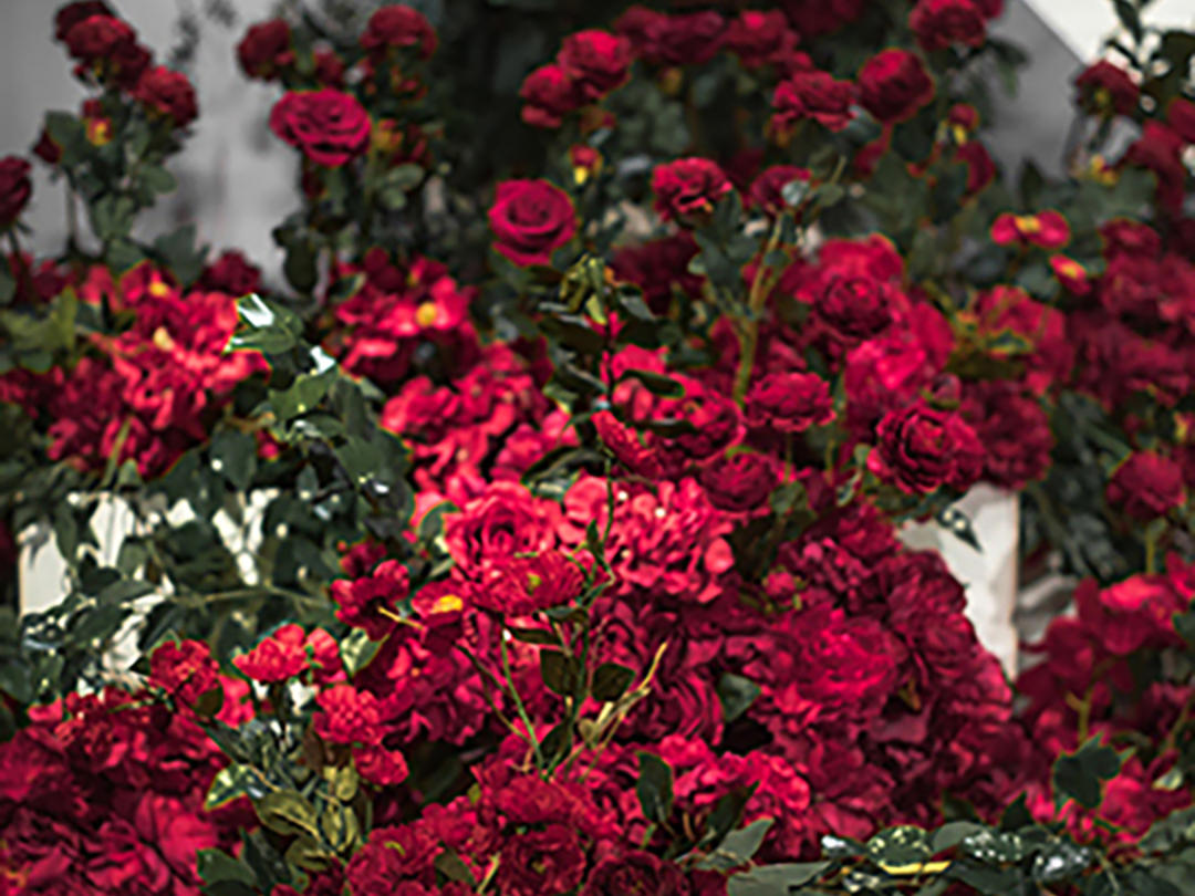 维罗纳婚礼<六星婚礼场布>