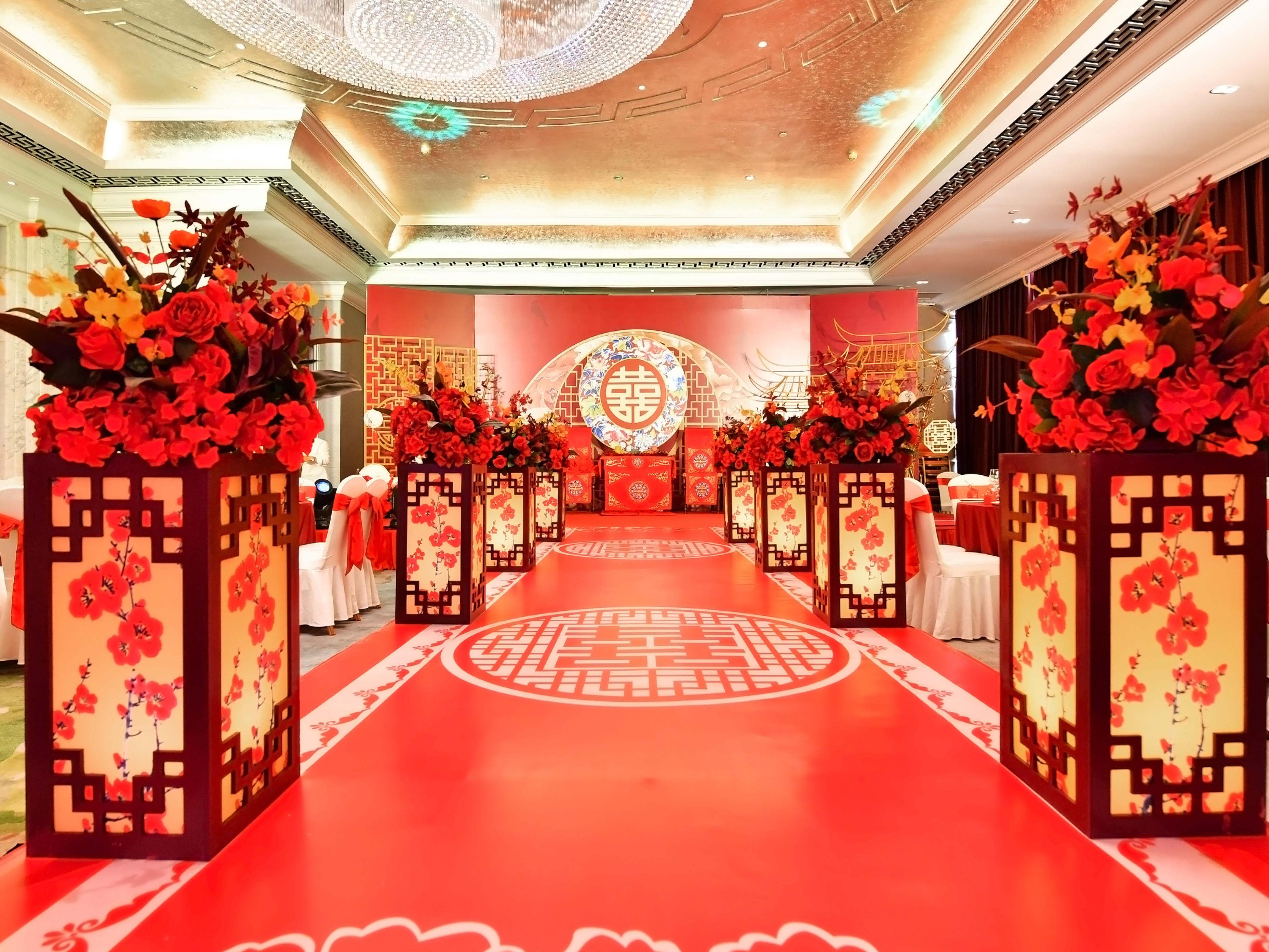 【超火爆套餐】双机摄像+单机摄影（资深级）