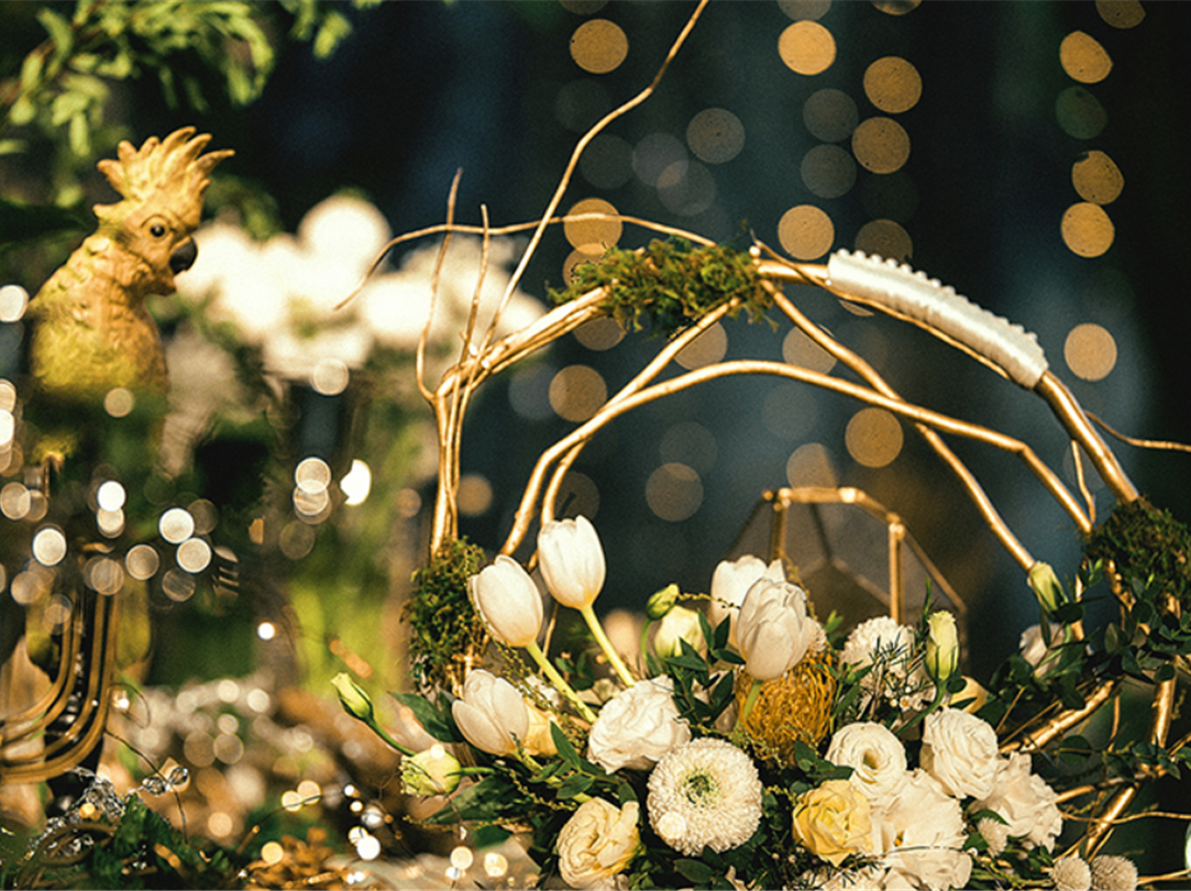 【人气推荐】明星套系/梦幻森系/林深时方见鹿