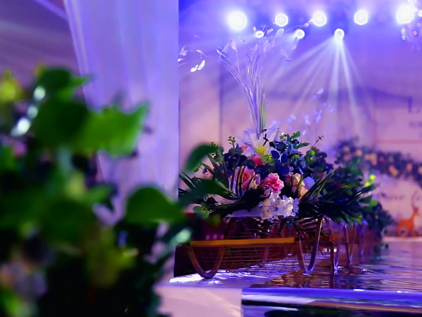 喜礼婚嫁/韩式简约婚礼/含主持摄像