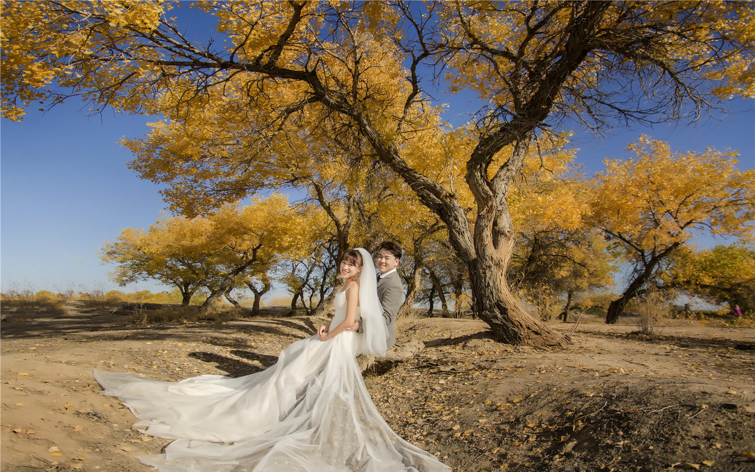 【強(qiáng)烈推薦】超值特惠夏季搶拍套餐