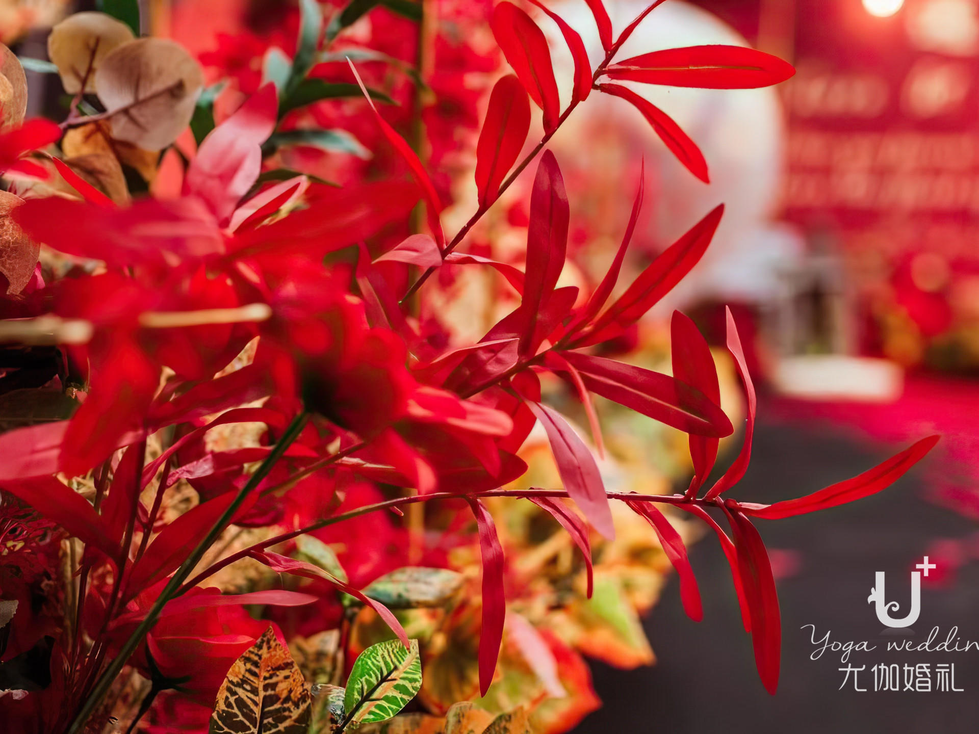 深红色简约婚礼---《璀璨》