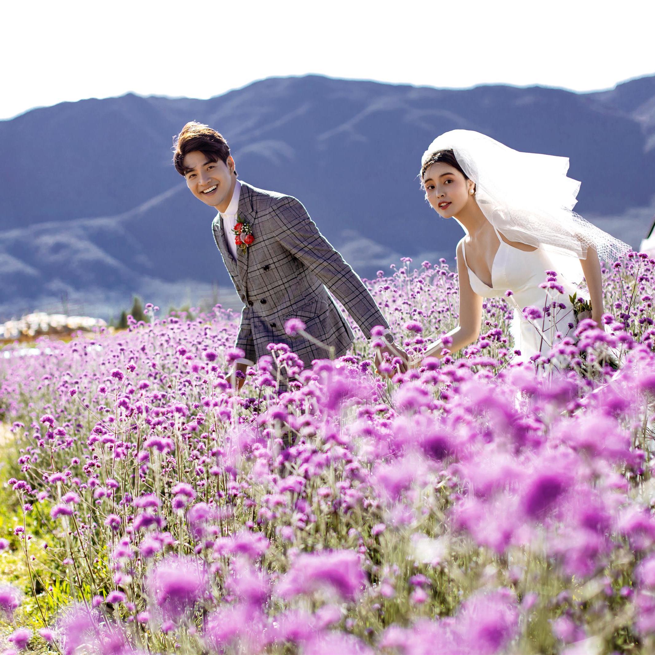 丽江薰衣草婚纱照 丽江婚纱照