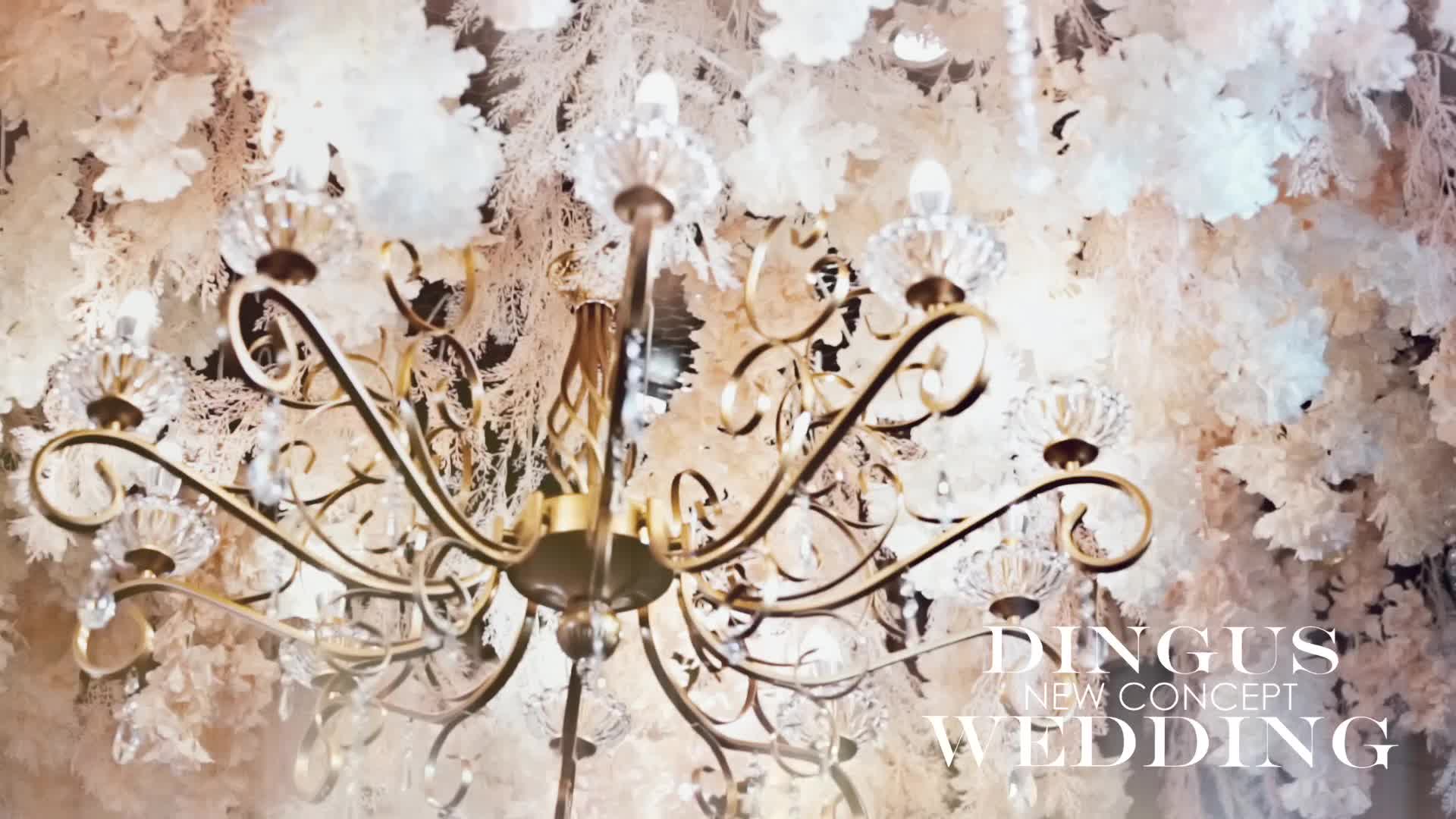 梦幻香槟欧式主题布置（四大加灯光，场地布置）