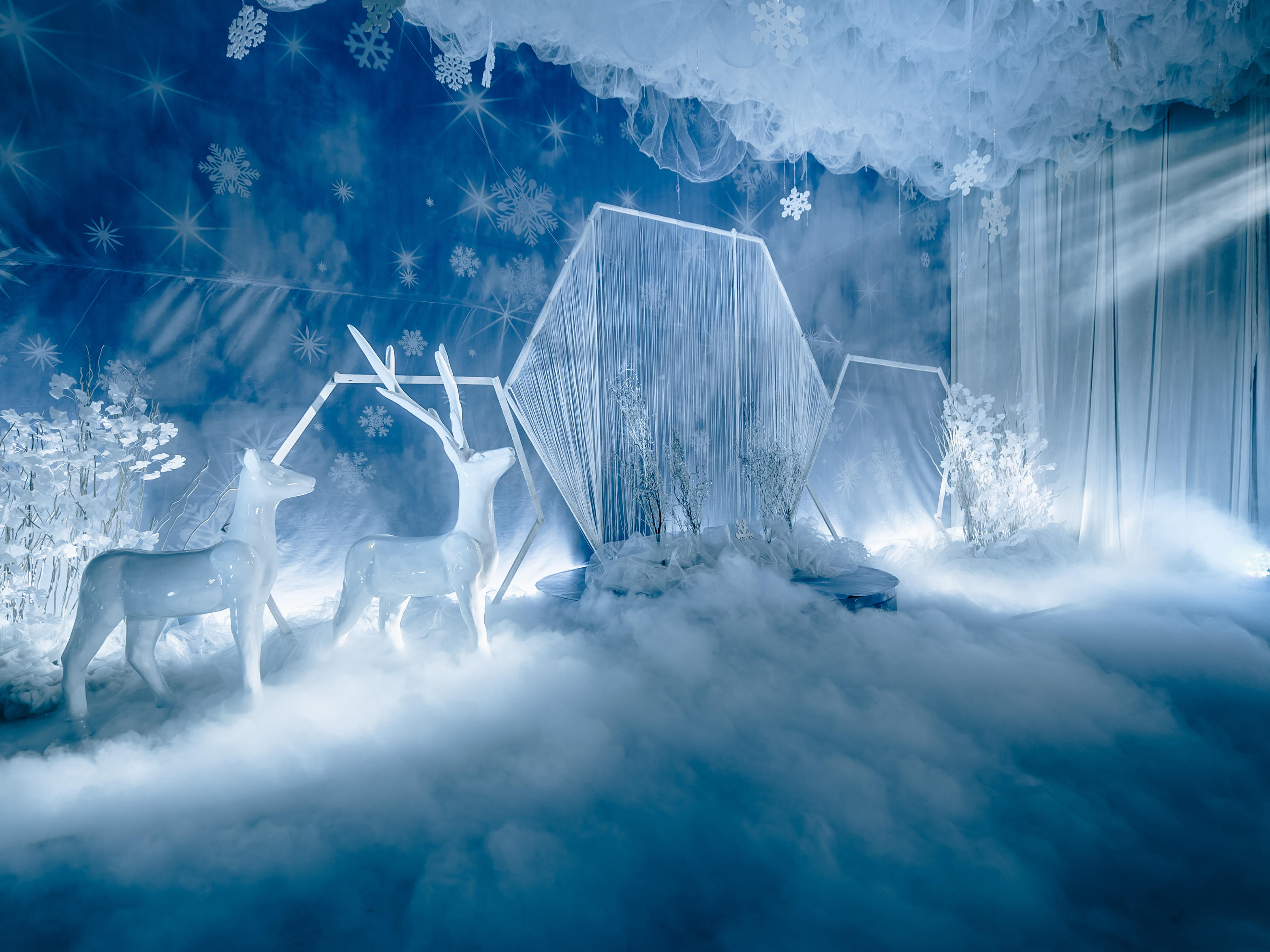 冰雪奇缘的婚礼，圆你童话中的公主梦