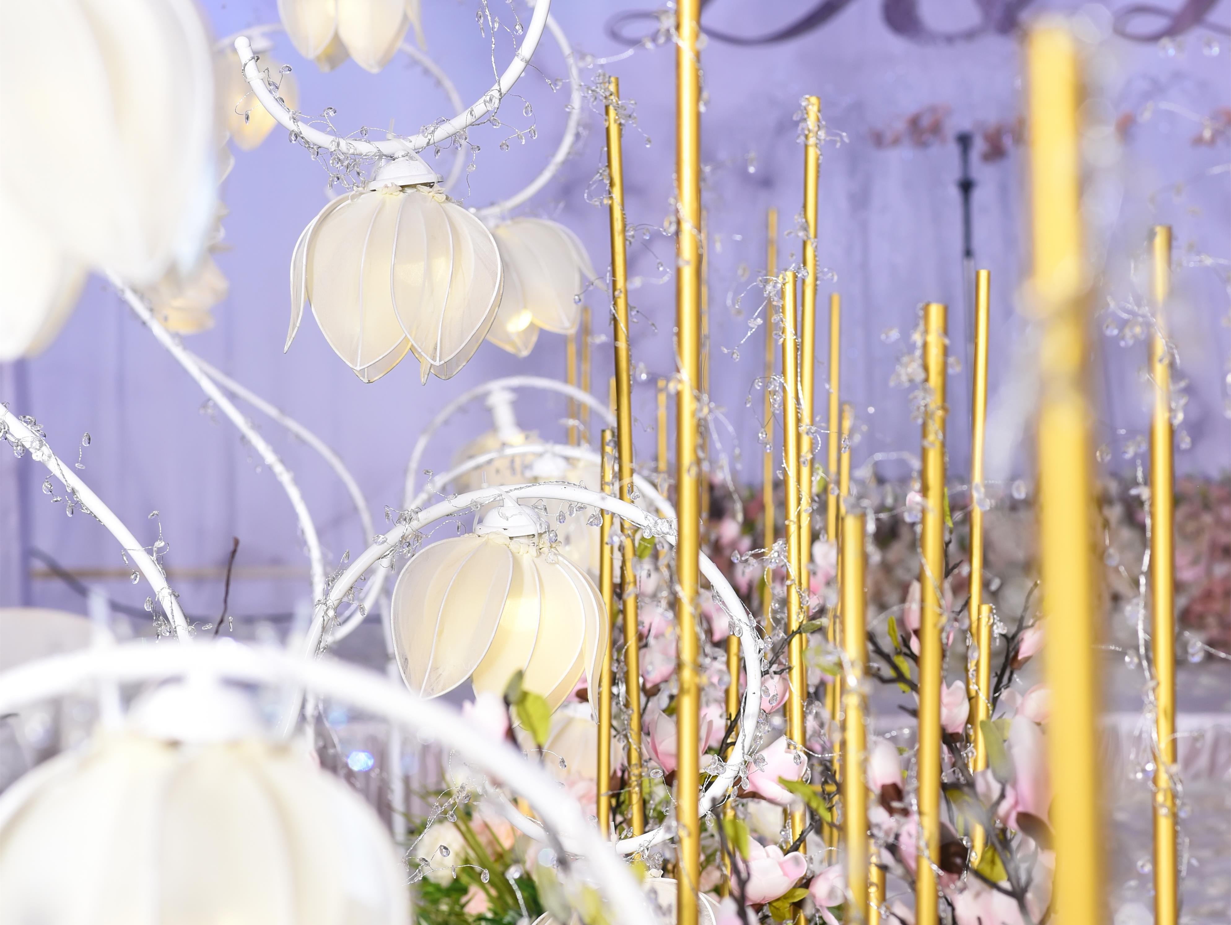 她他婚典 --【白素森系】