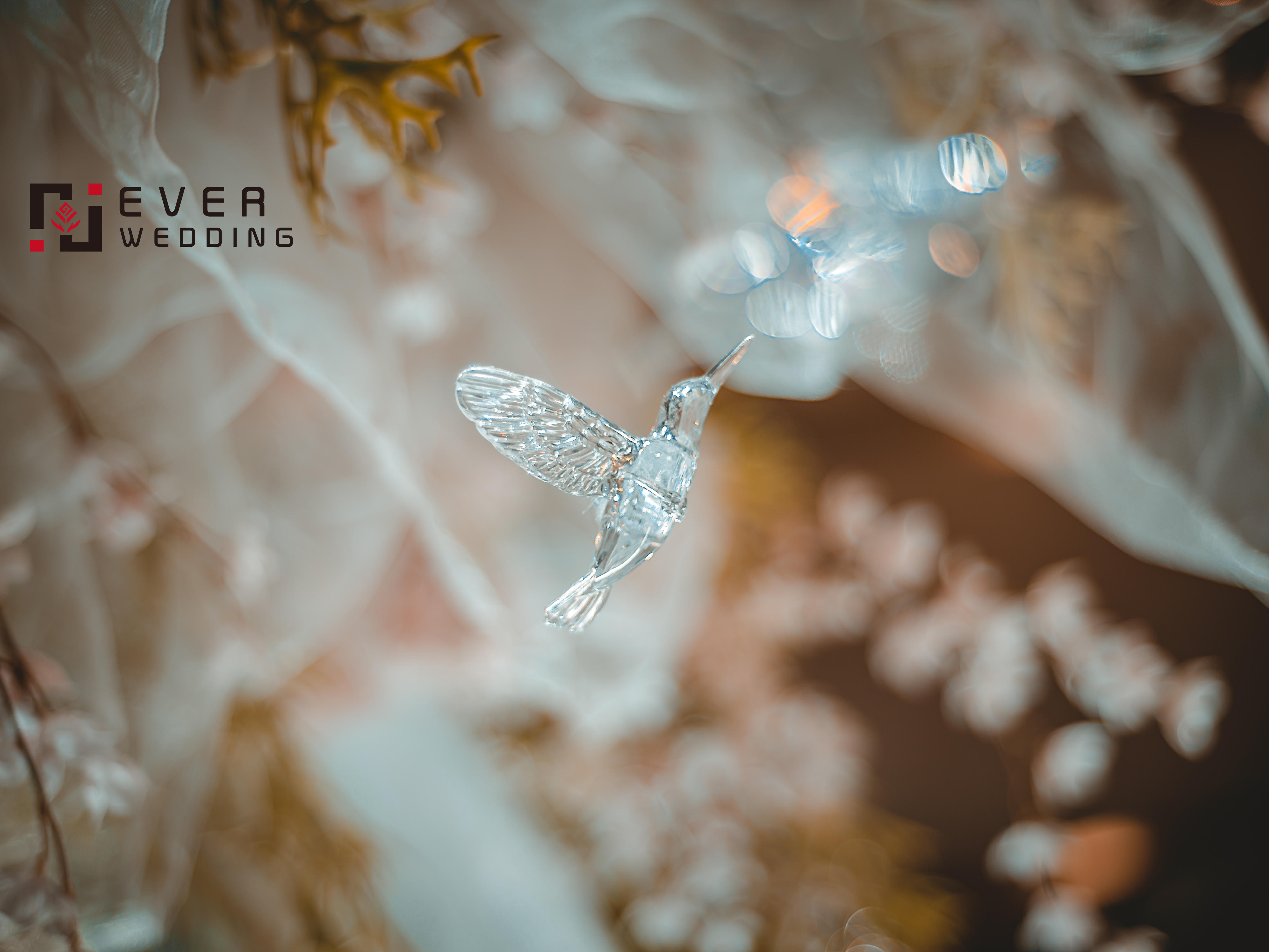 森系婚礼 在枝繁叶茂的雨林深处 遇到最爱的你