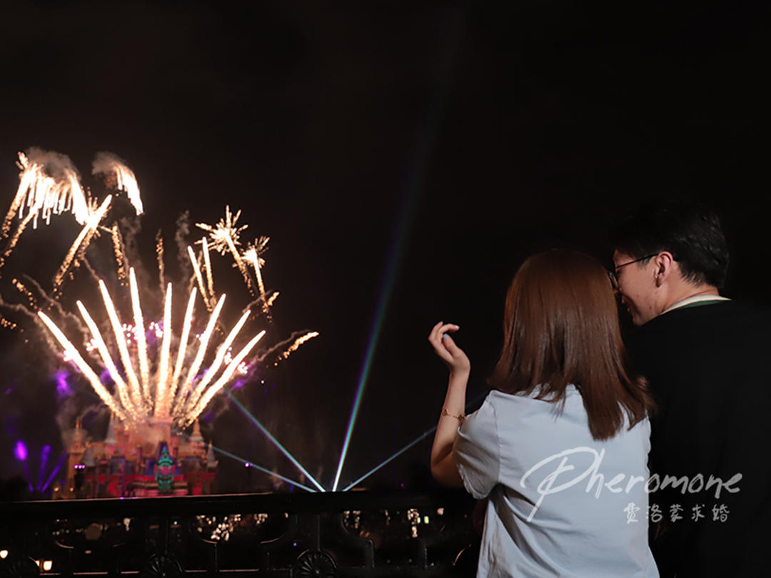 【上海迪士尼主题】求婚策划