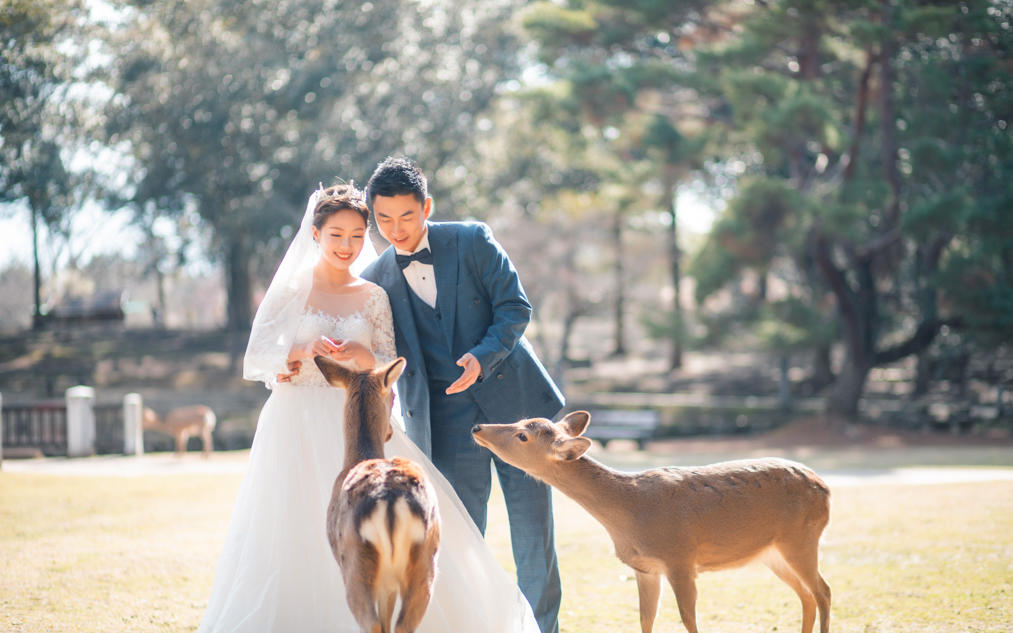 【日本京都奈良旅拍客照】你就是这条街最靓的仔 