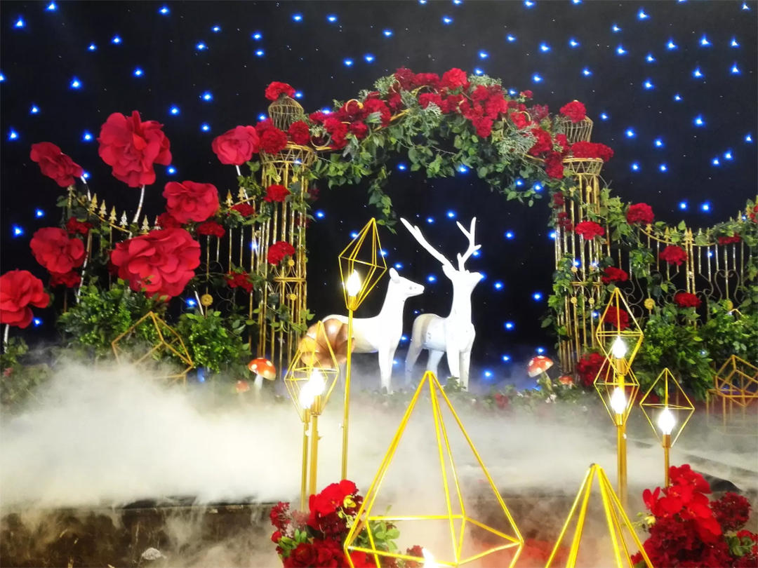 《维米婚礼》——红色唯美系列