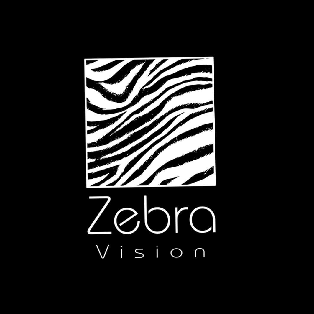 Zebravision斑马线影视团队