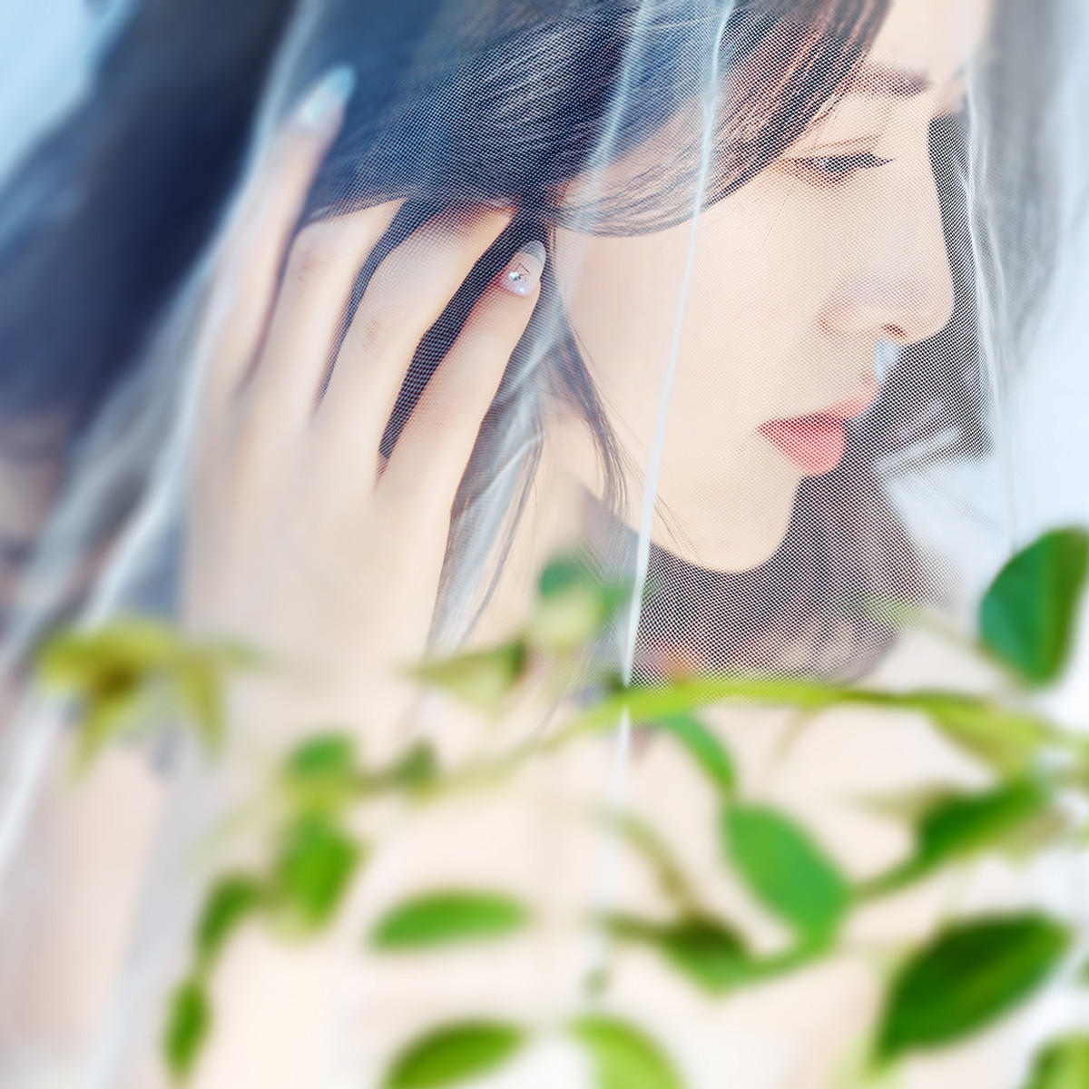 春季特惠套餐 | 品 《SPRING》 