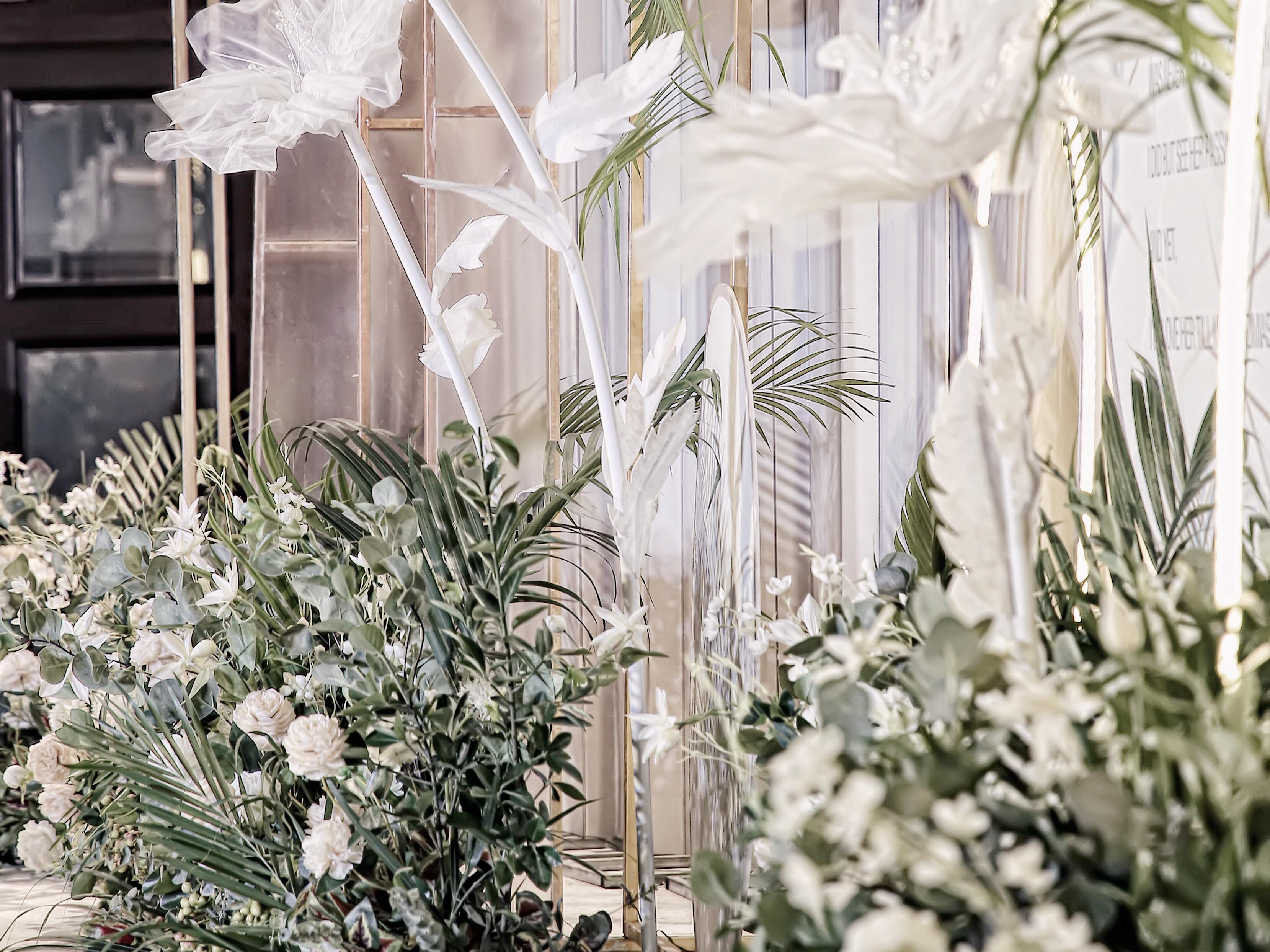 2020新品套餐限时半价预售