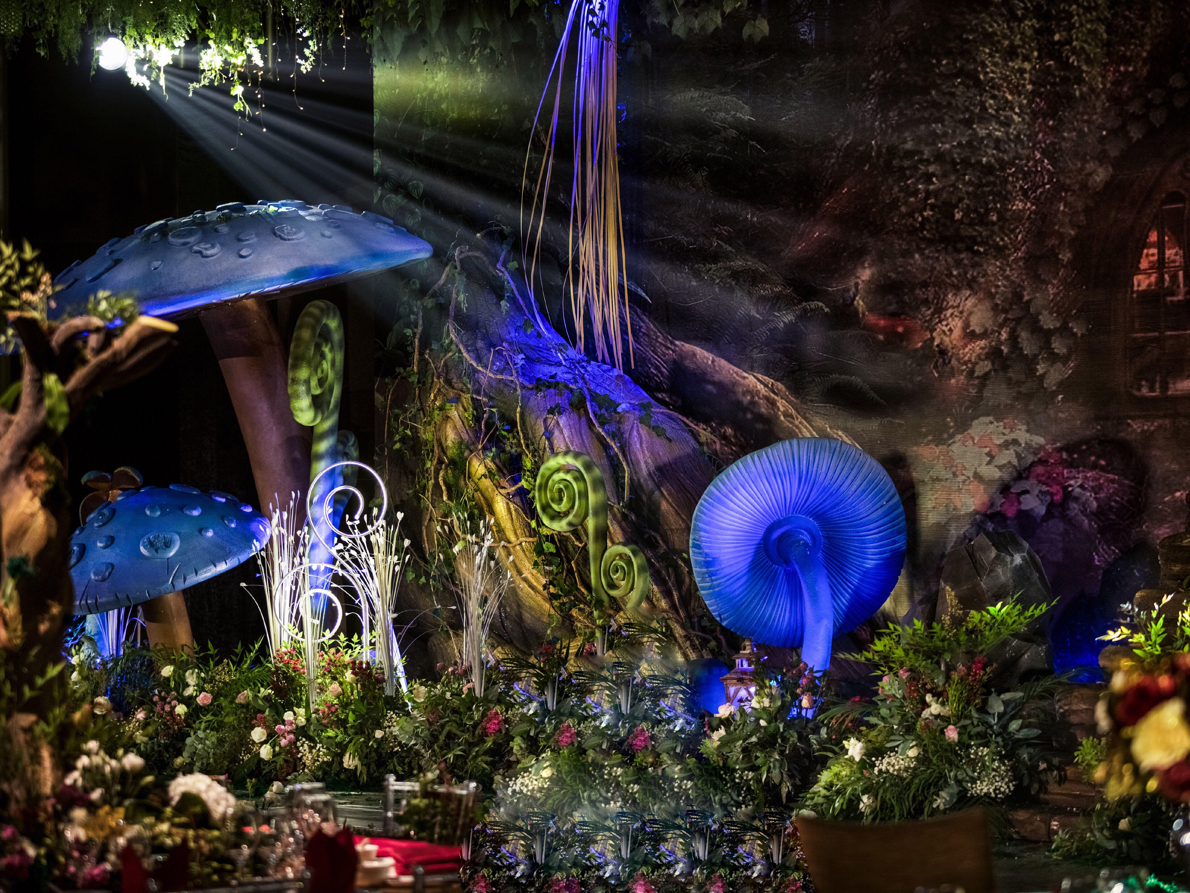 【轻奢定制】迷森●魔幻森系—含资深四大