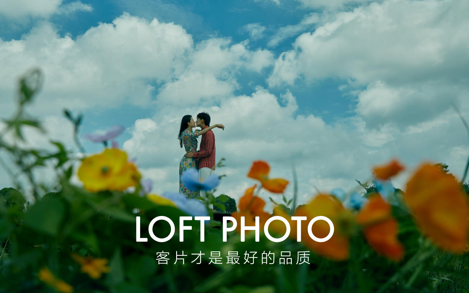 LOFT - 【青木瓜之恋】