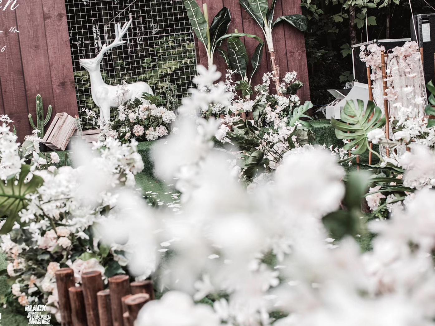 【精灵的心思】薄雾借春色的绿意追逐于云间