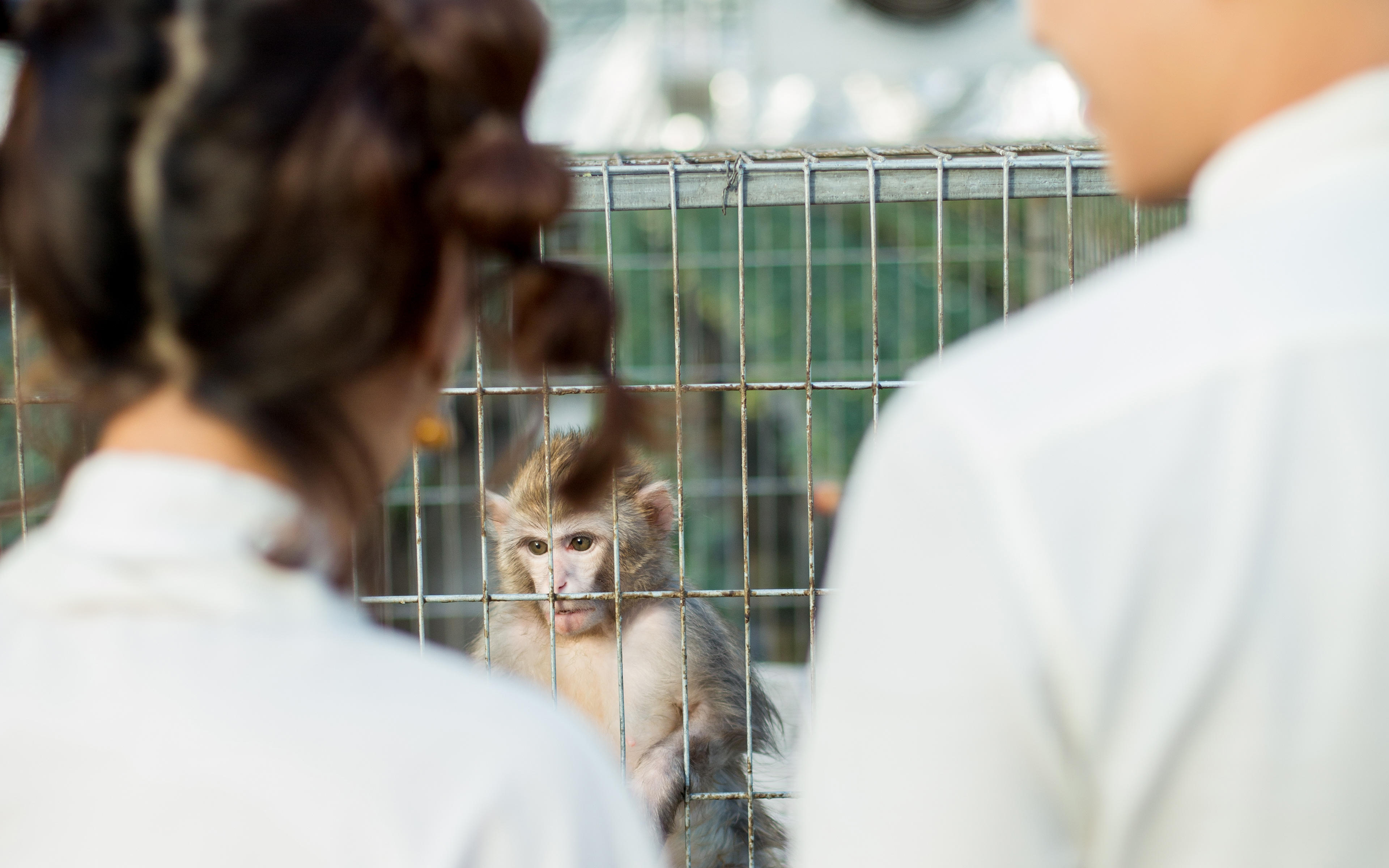 齐齐哈尔婚纱摄影，城市旅拍摄影