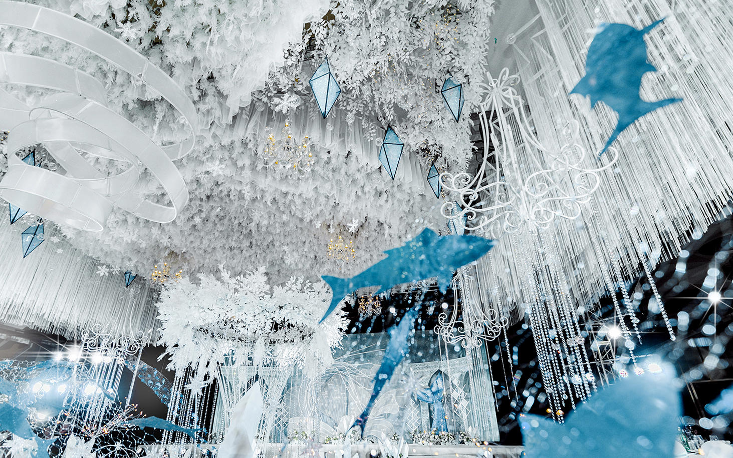 美洛蒂·昆明博览园·蓝白唯美大气冰雪