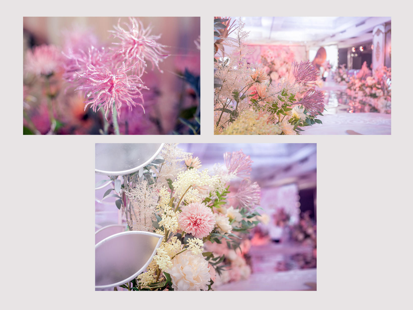 拾年相约，相约今生，今生有你，珍爱一生。