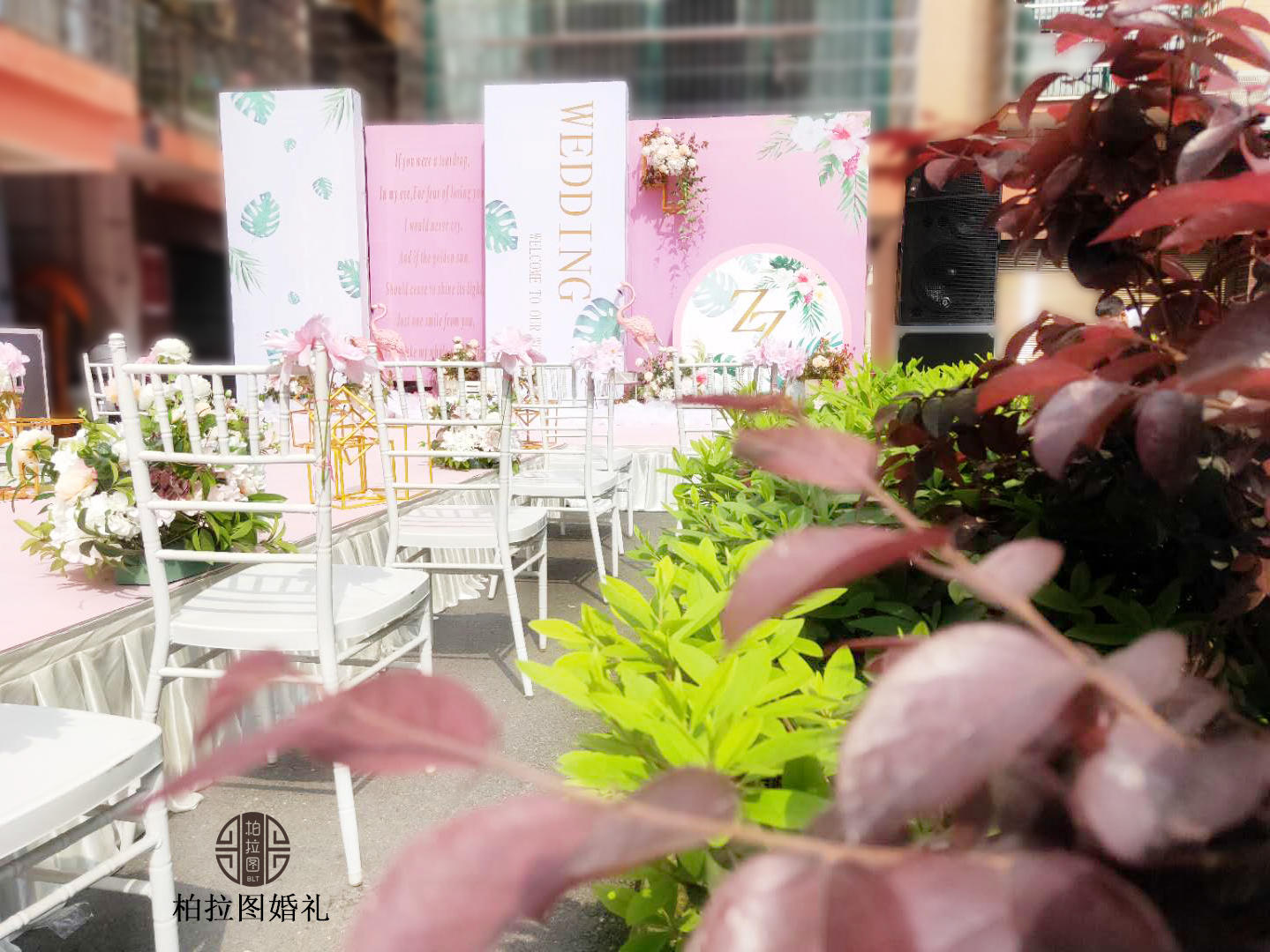 ——梦幻粉色火烈鸟系列——