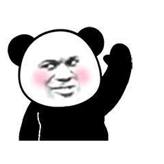 保团C