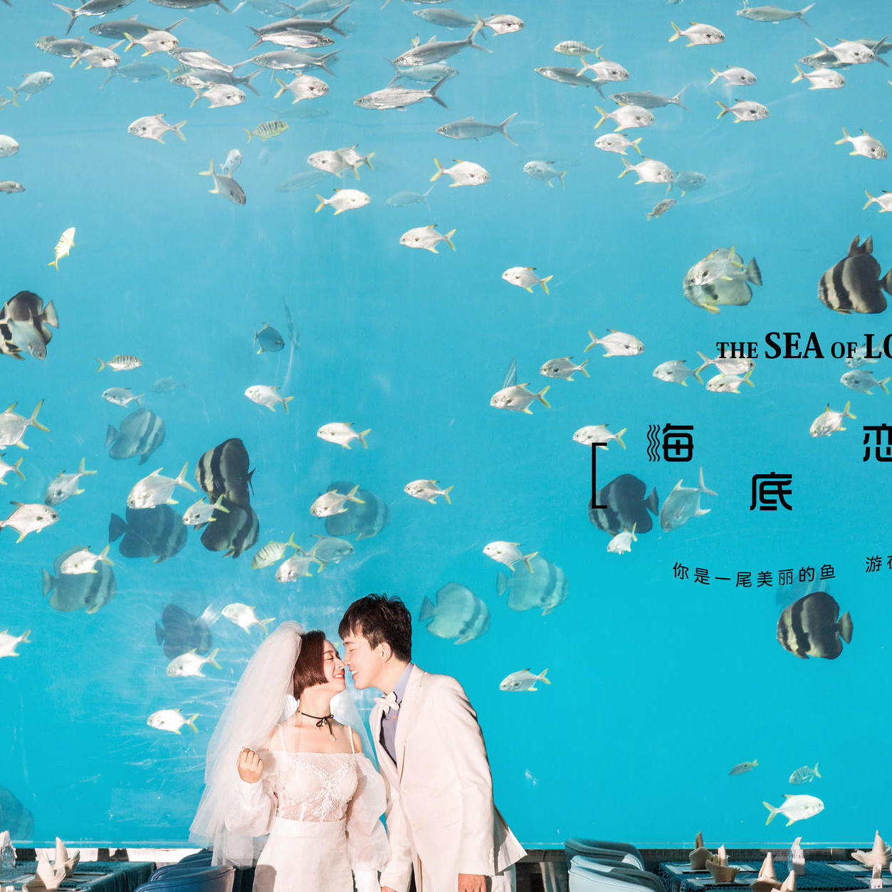 测试验证案例头图是22有图66343